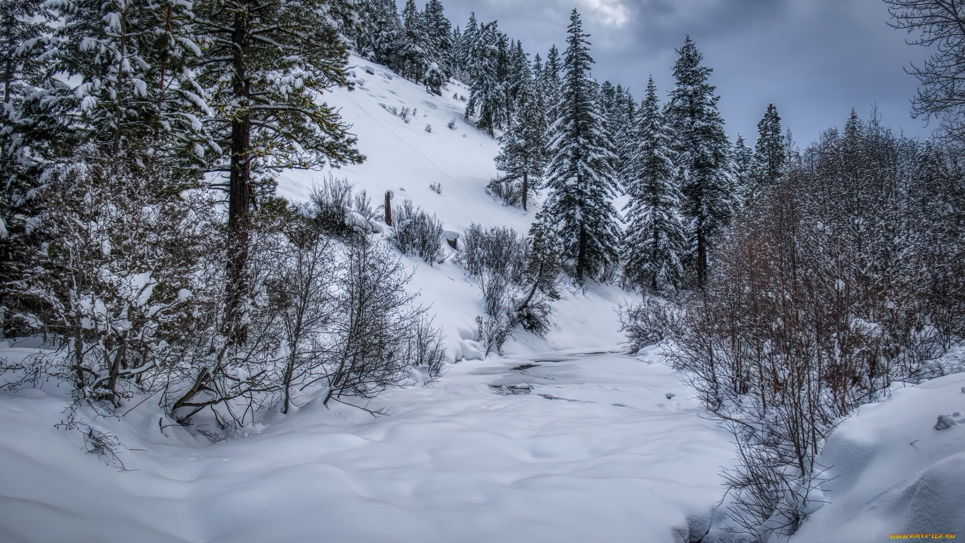 природа, зима, простор