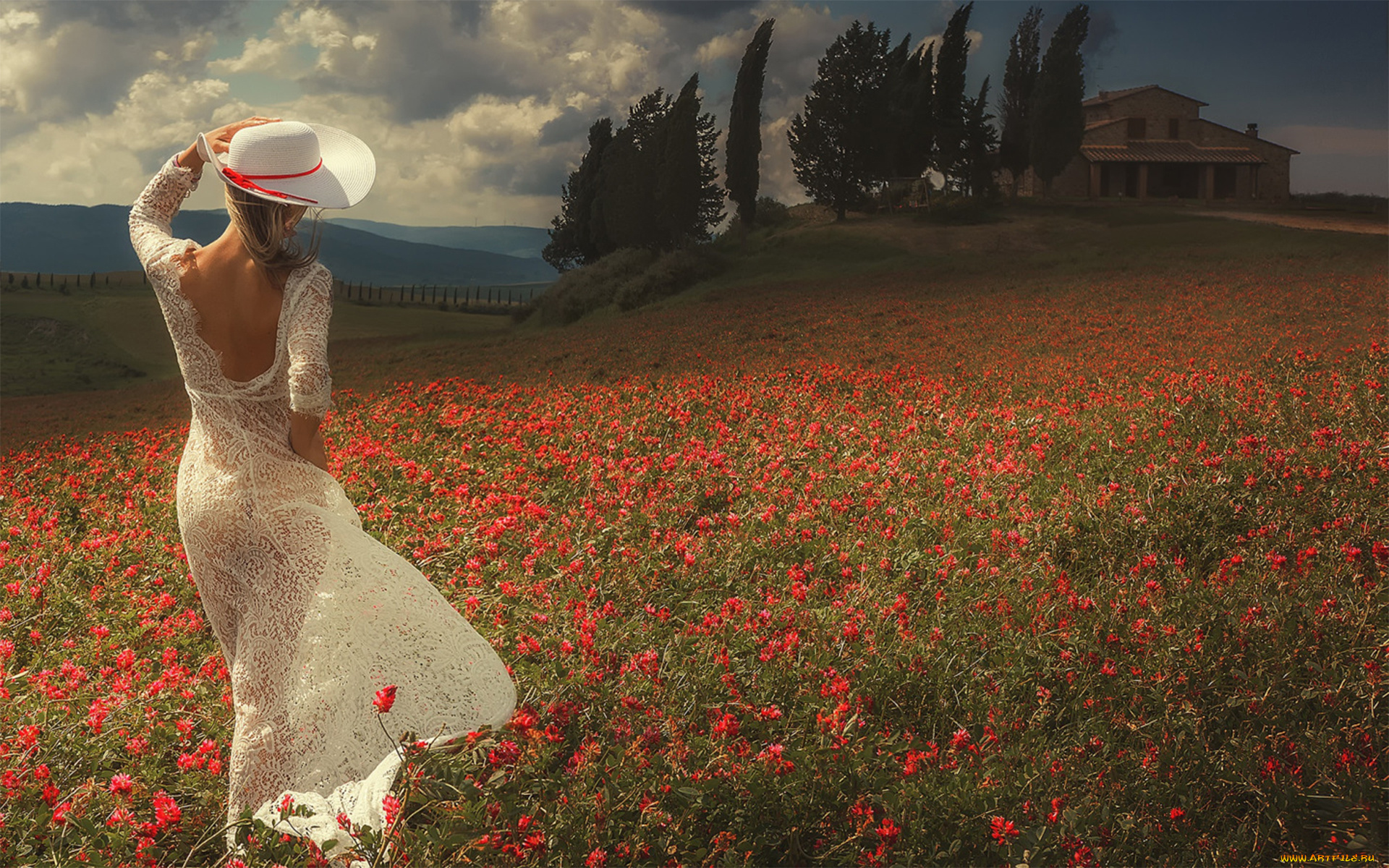 девушка, девушки, -unsort, , блондинки, , светловолосые, модель