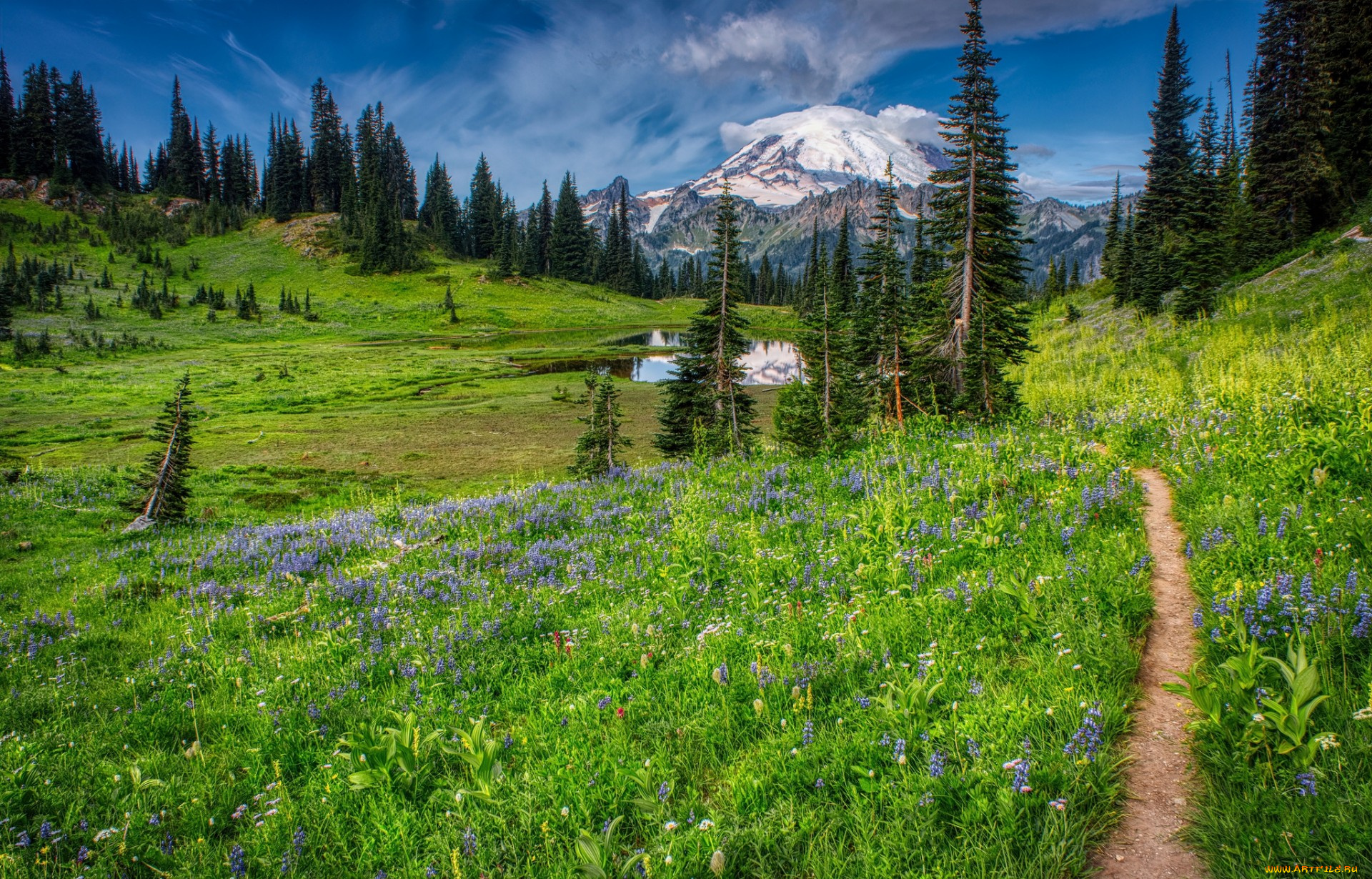 природа, пейзажи, простор