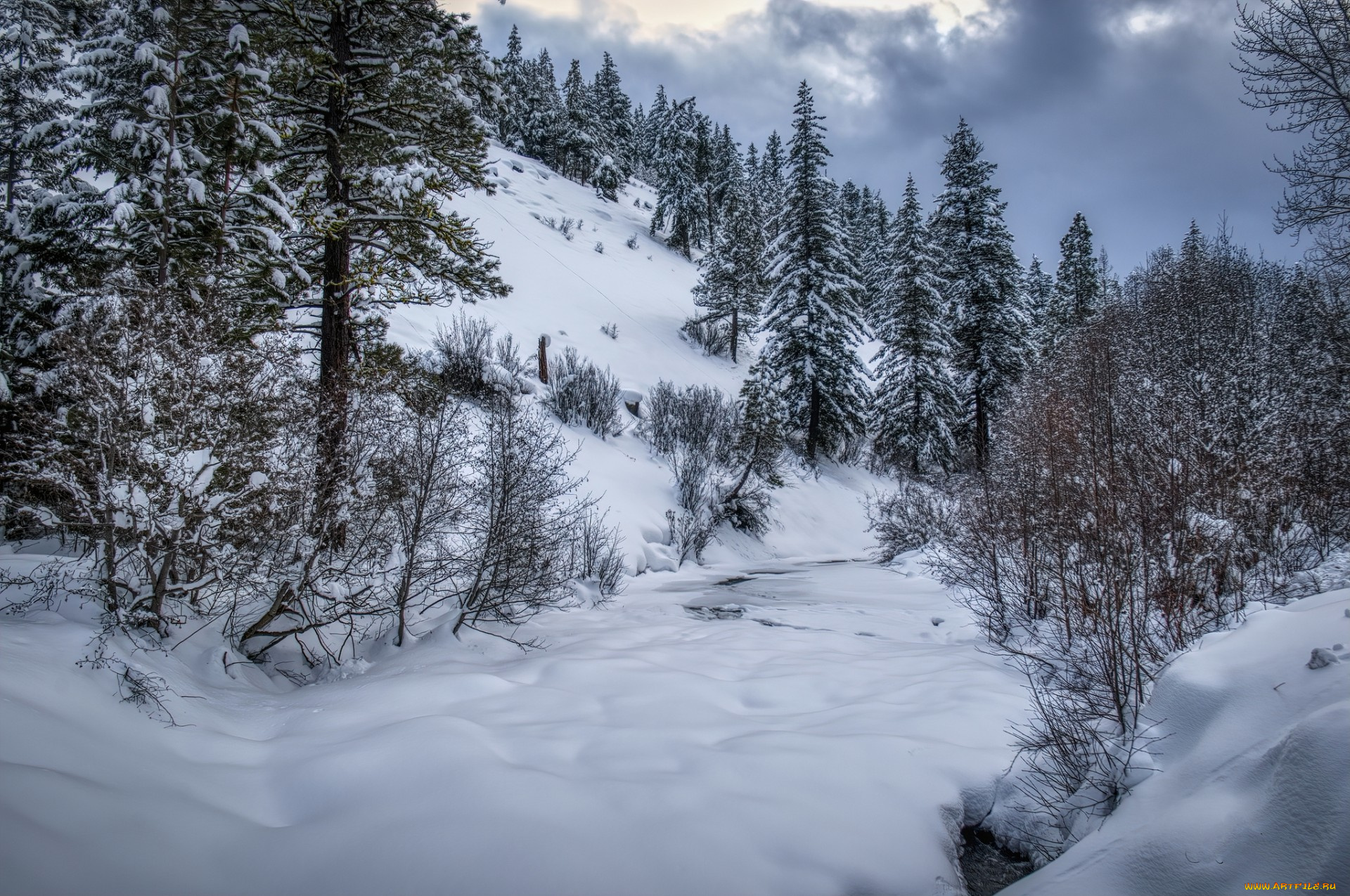 природа, зима, простор