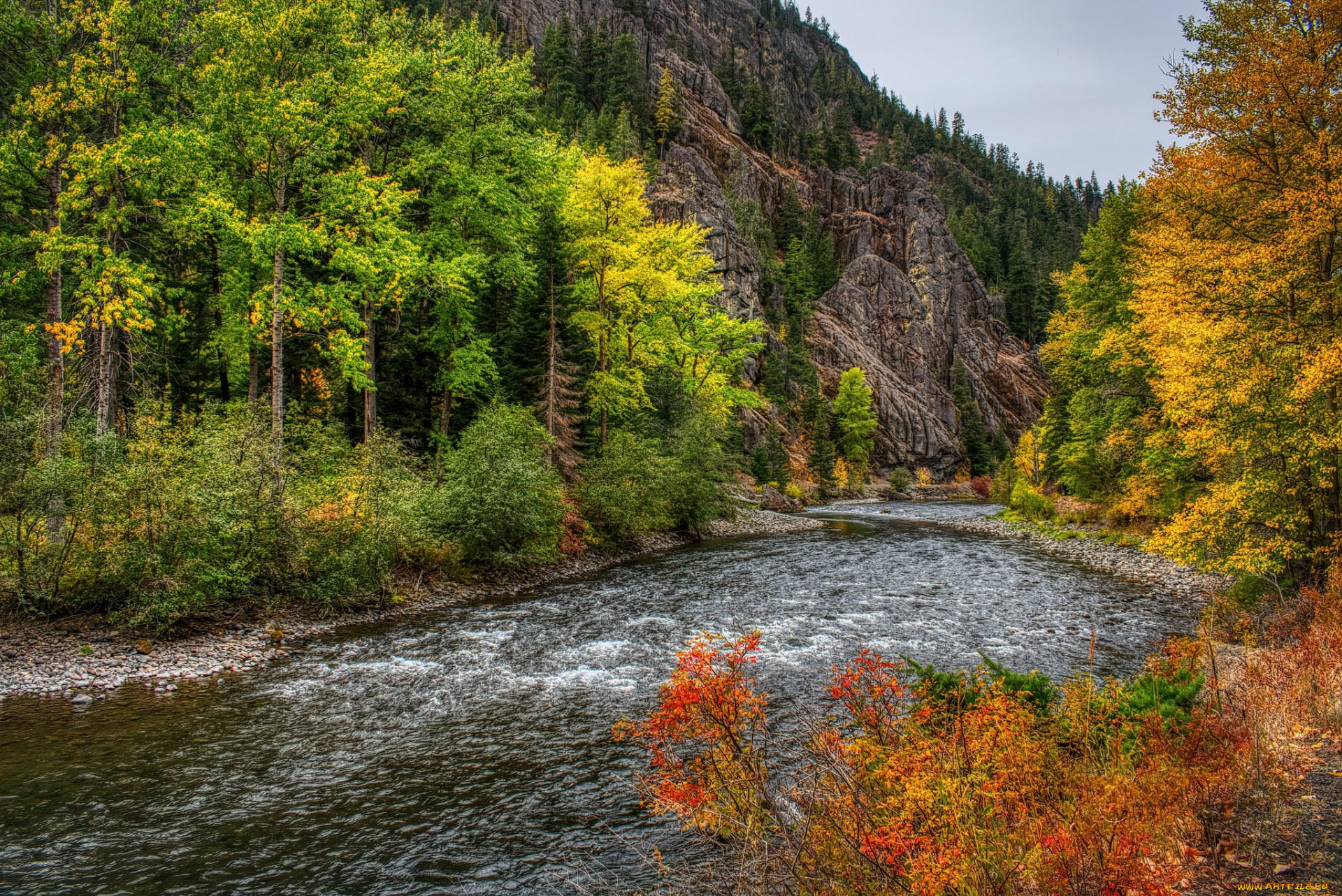 природа, реки, озера, простор