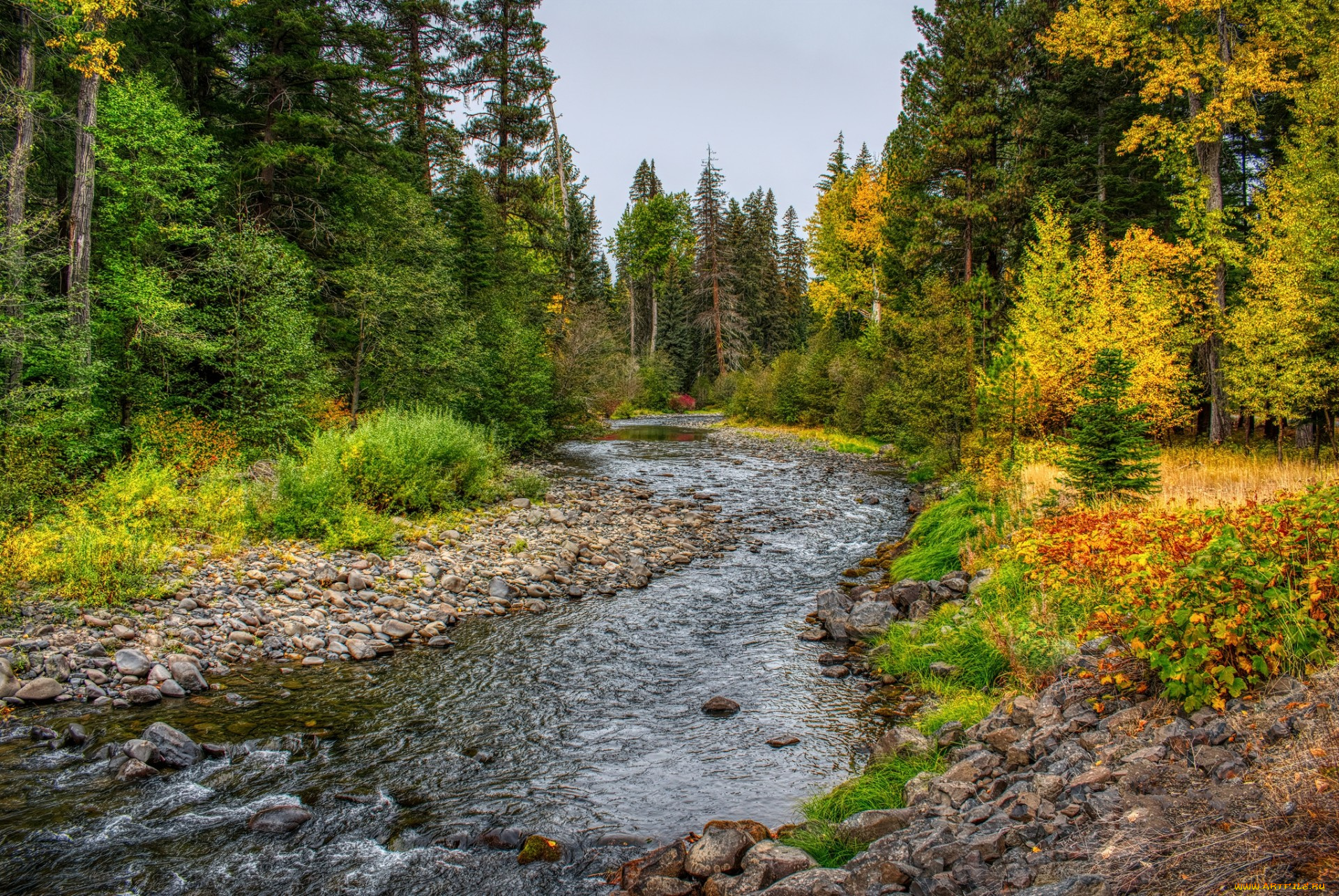 природа, реки, озера, простор