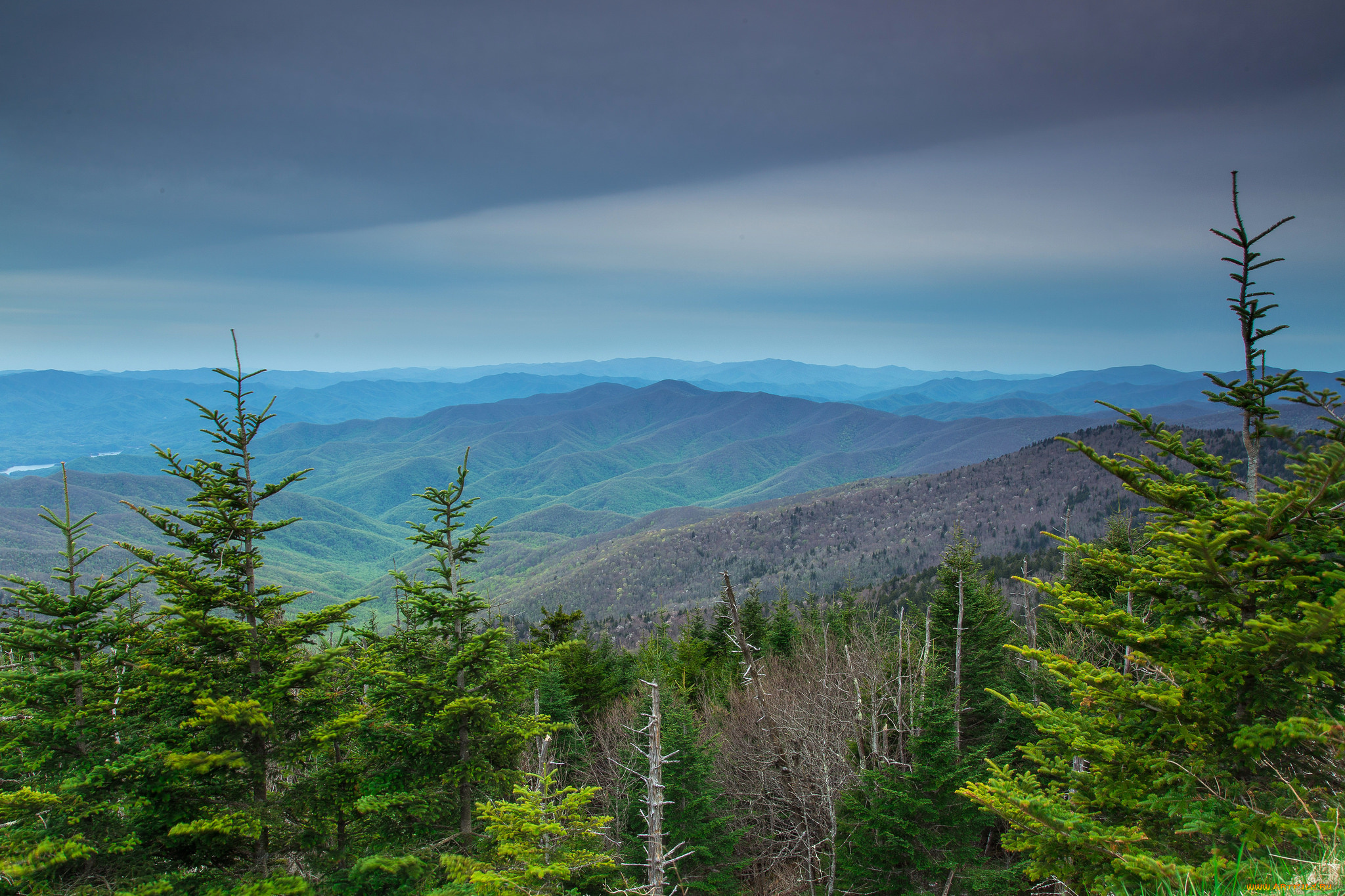 природа, пейзажи, простор