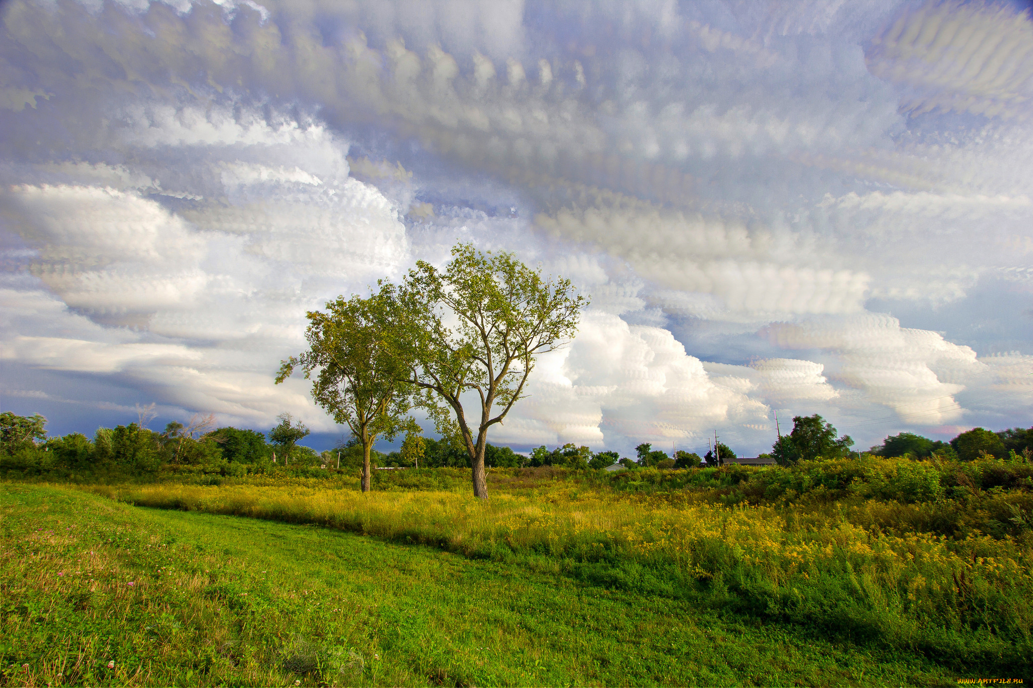 природа, пейзажи, простор