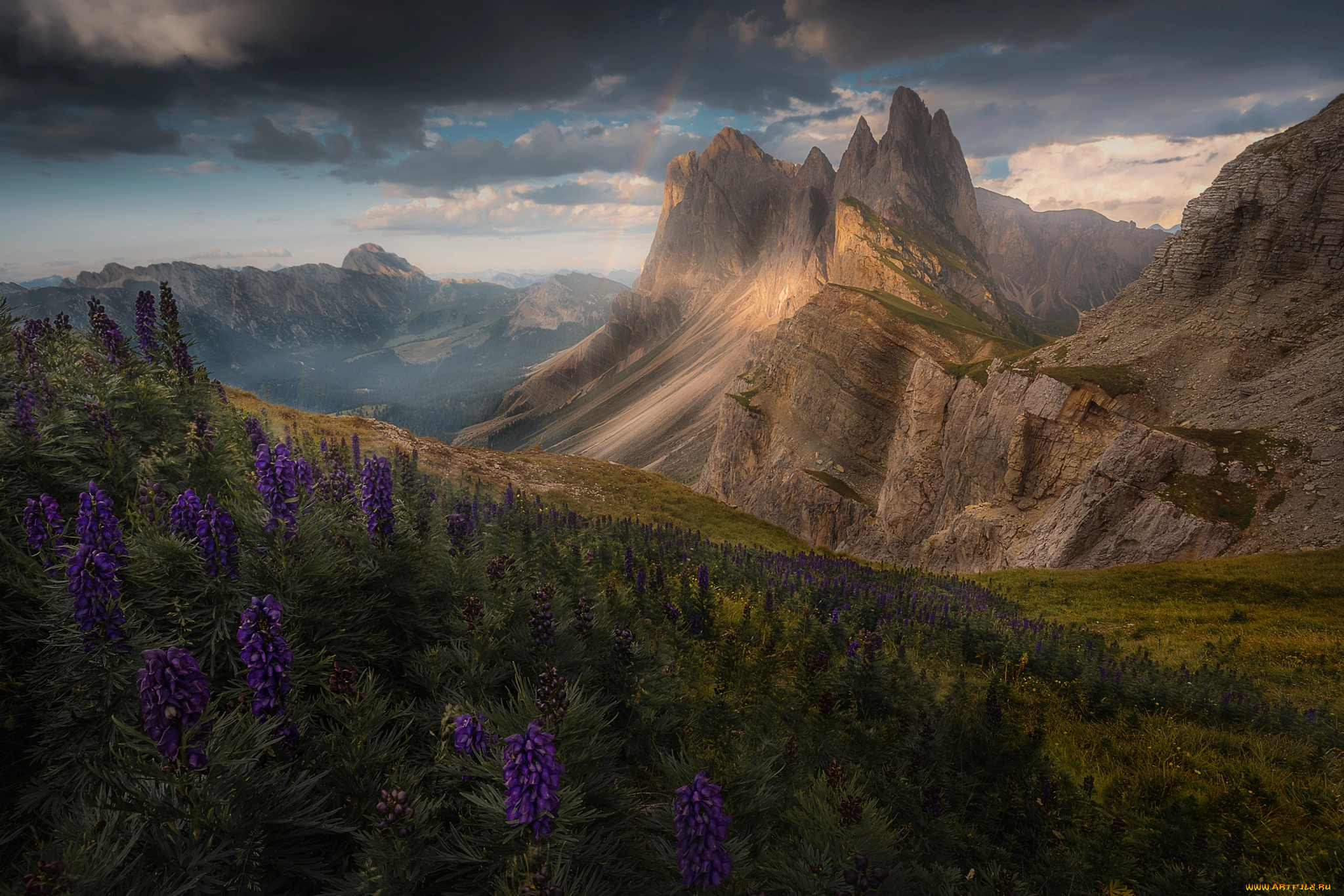 природа, горы, альпы, радуга, цветы