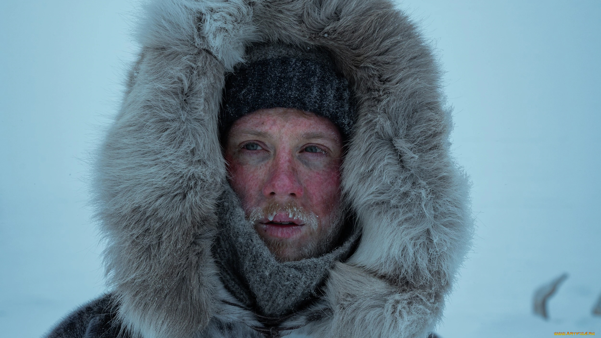 against, the, ice, ||, 2022, кино, фильмы, against, the, ice, борьба, со, льдом, author, oreskis, биография, драма, история, joe, cole, iver, iversen, джо, коул