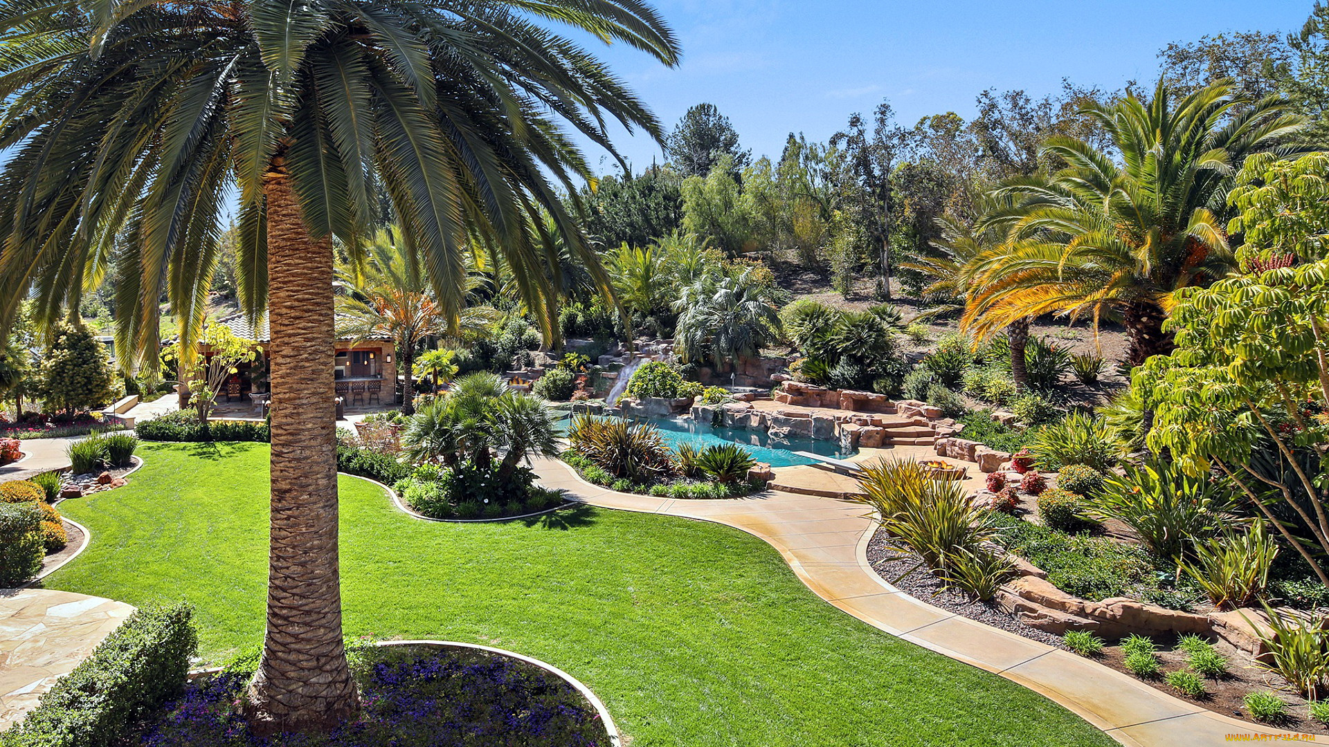 природа, парк, пальмы, водоем, аллея