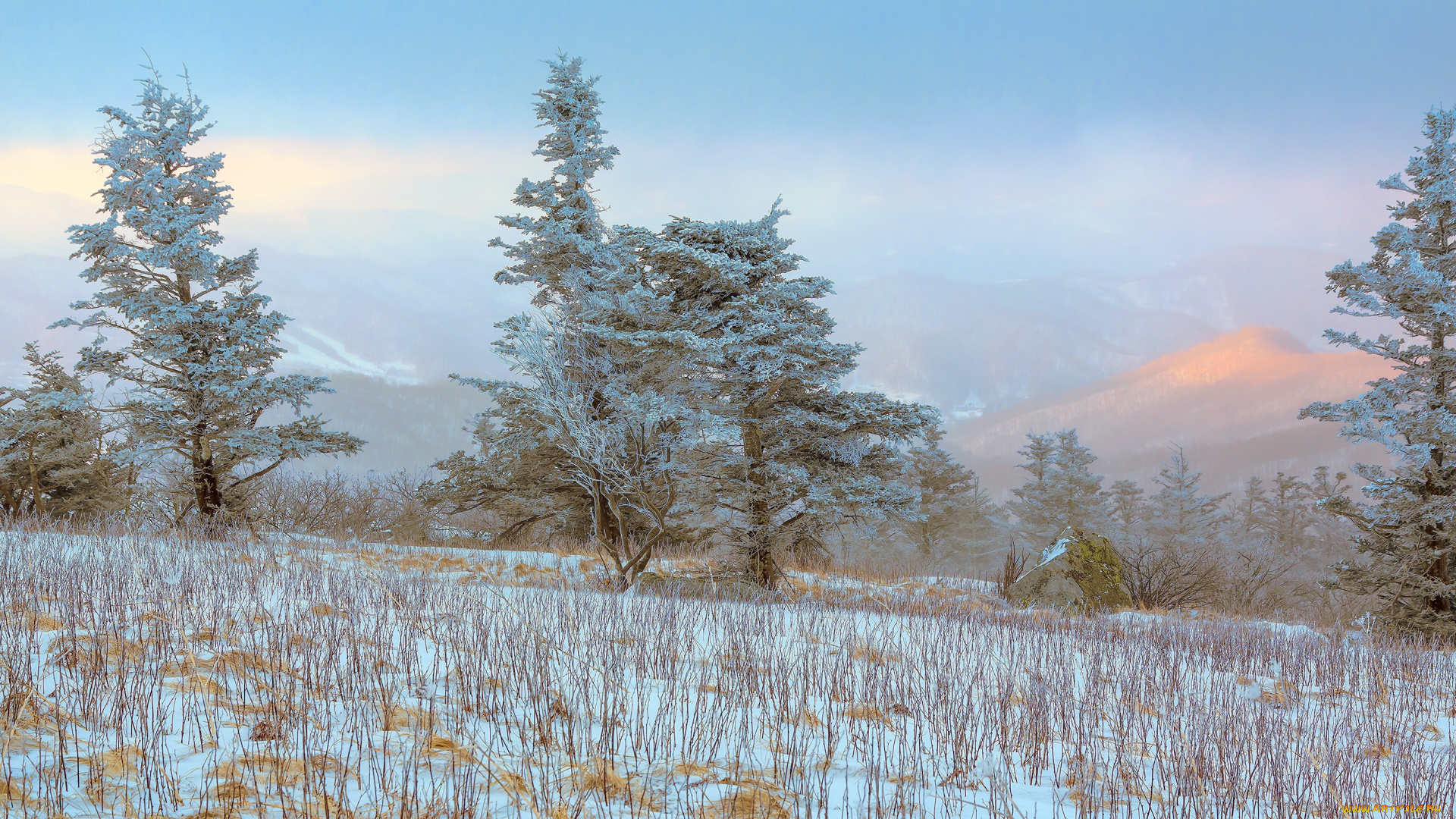 природа, зима