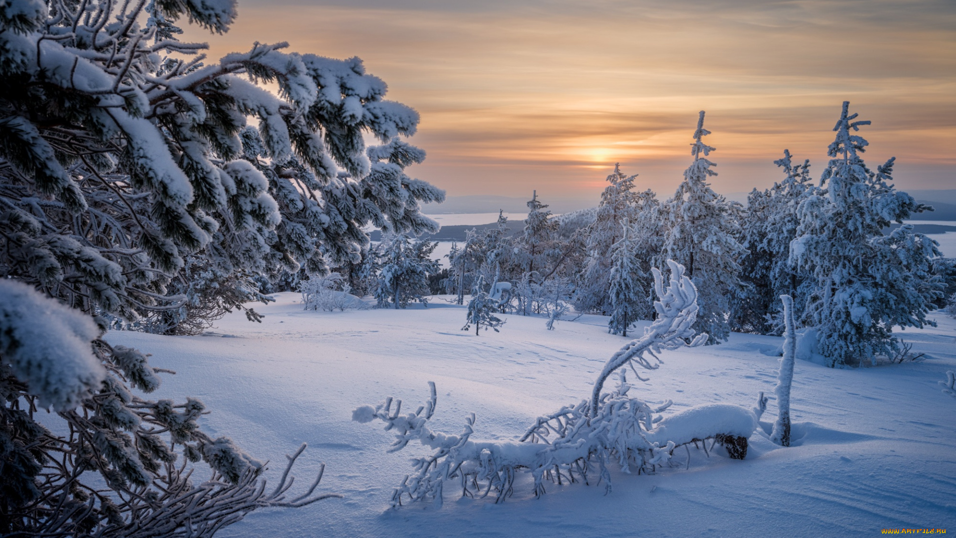 природа, зима, снег