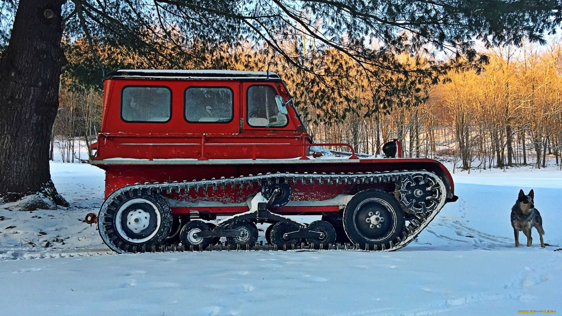 техника, вездеходы, snow, trac, st4, красный, профиль