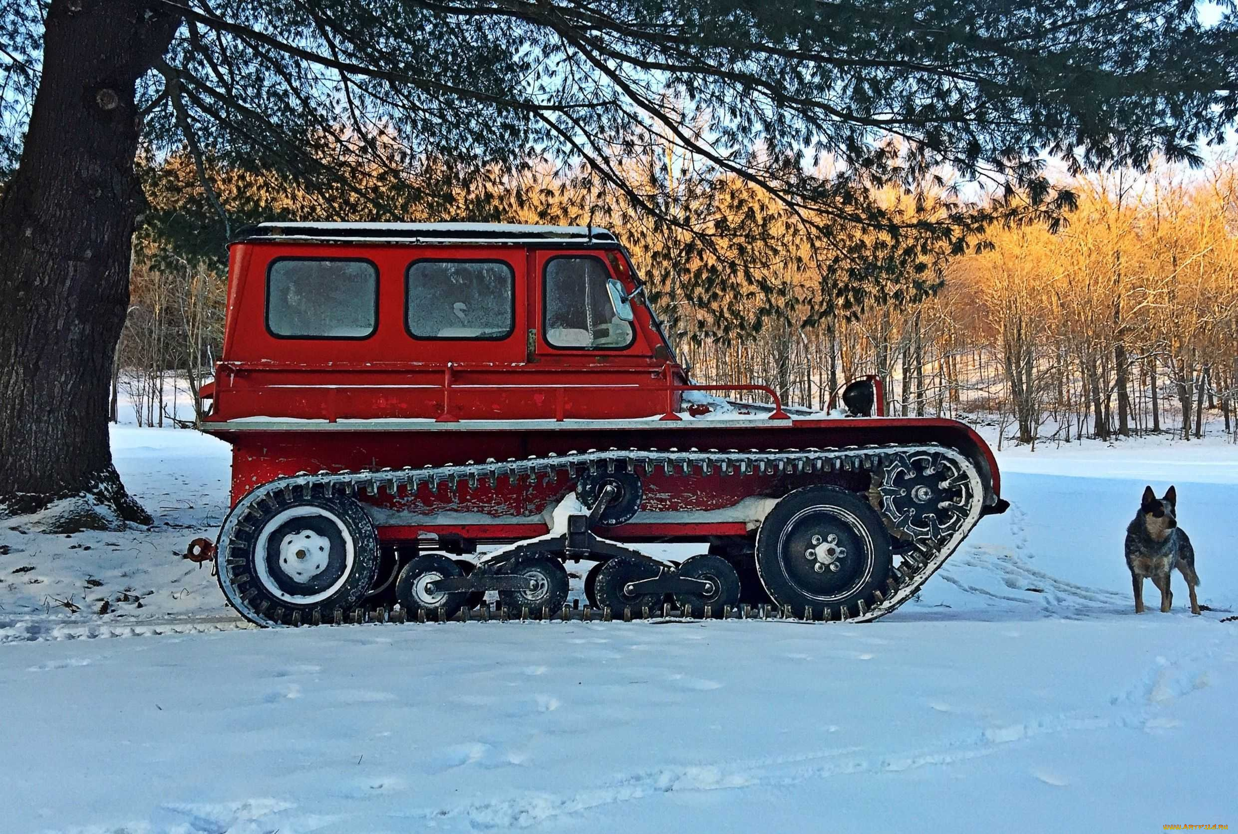 техника, вездеходы, snow, trac, st4, красный, профиль