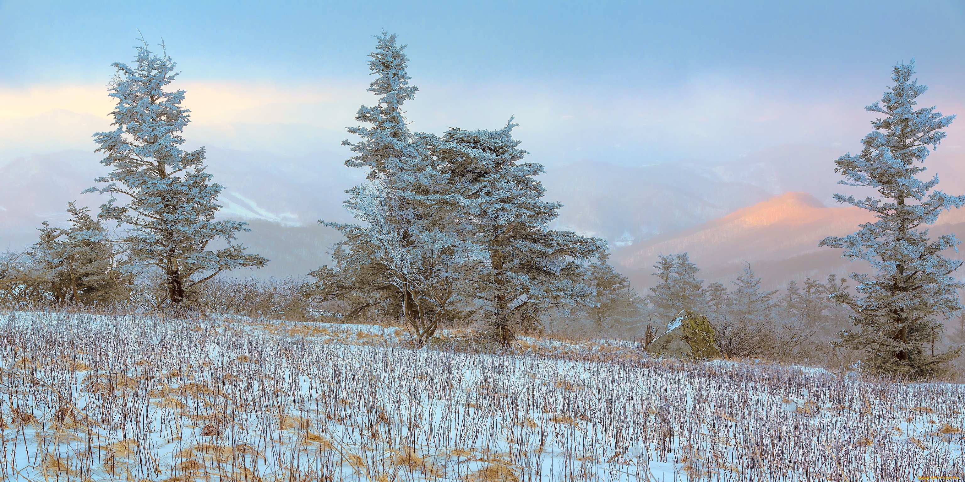 природа, зима