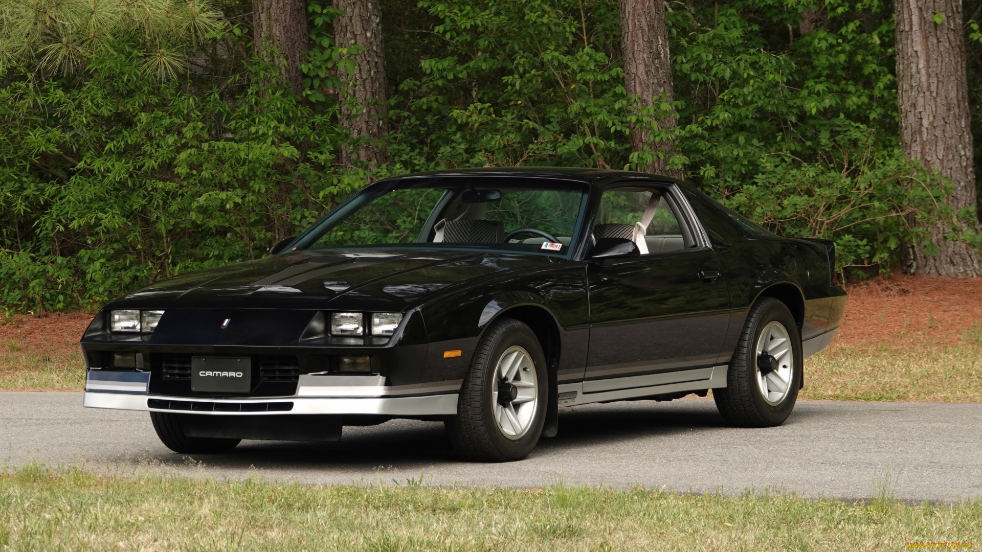 автомобили, camaro