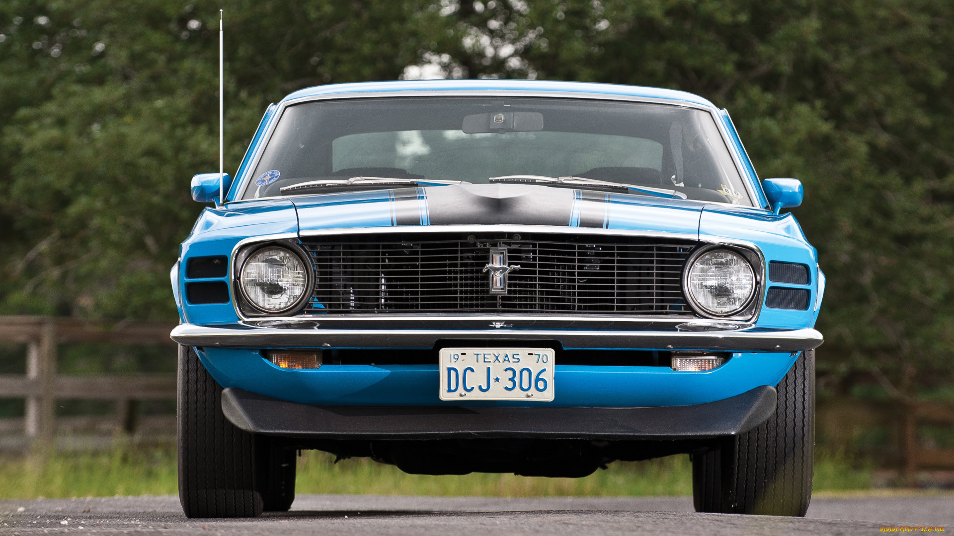 автомобили, mustang