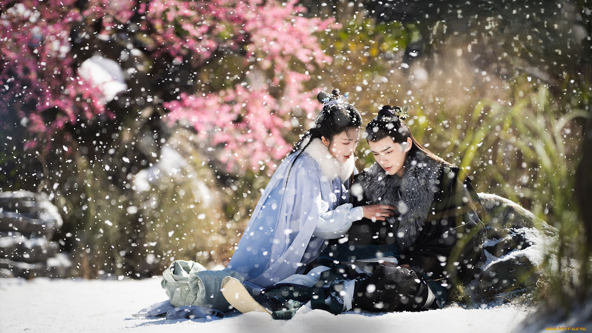 кино, фильмы, love, of, petals, love, of, petals