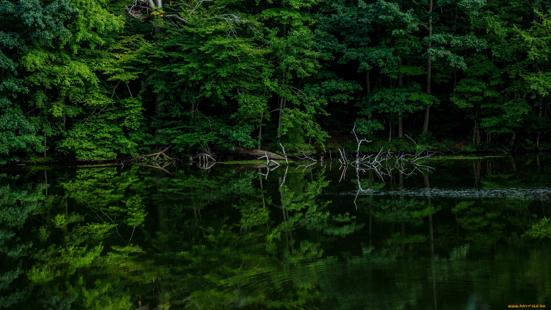 природа, реки, озера, озеро