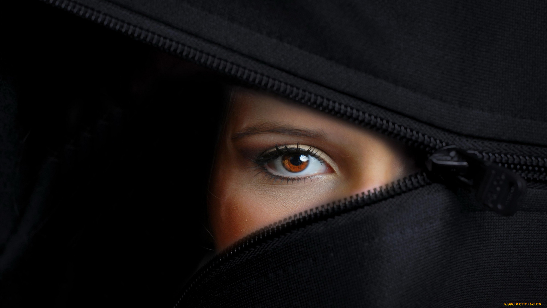 разное, глаза, женский, глаз, карий