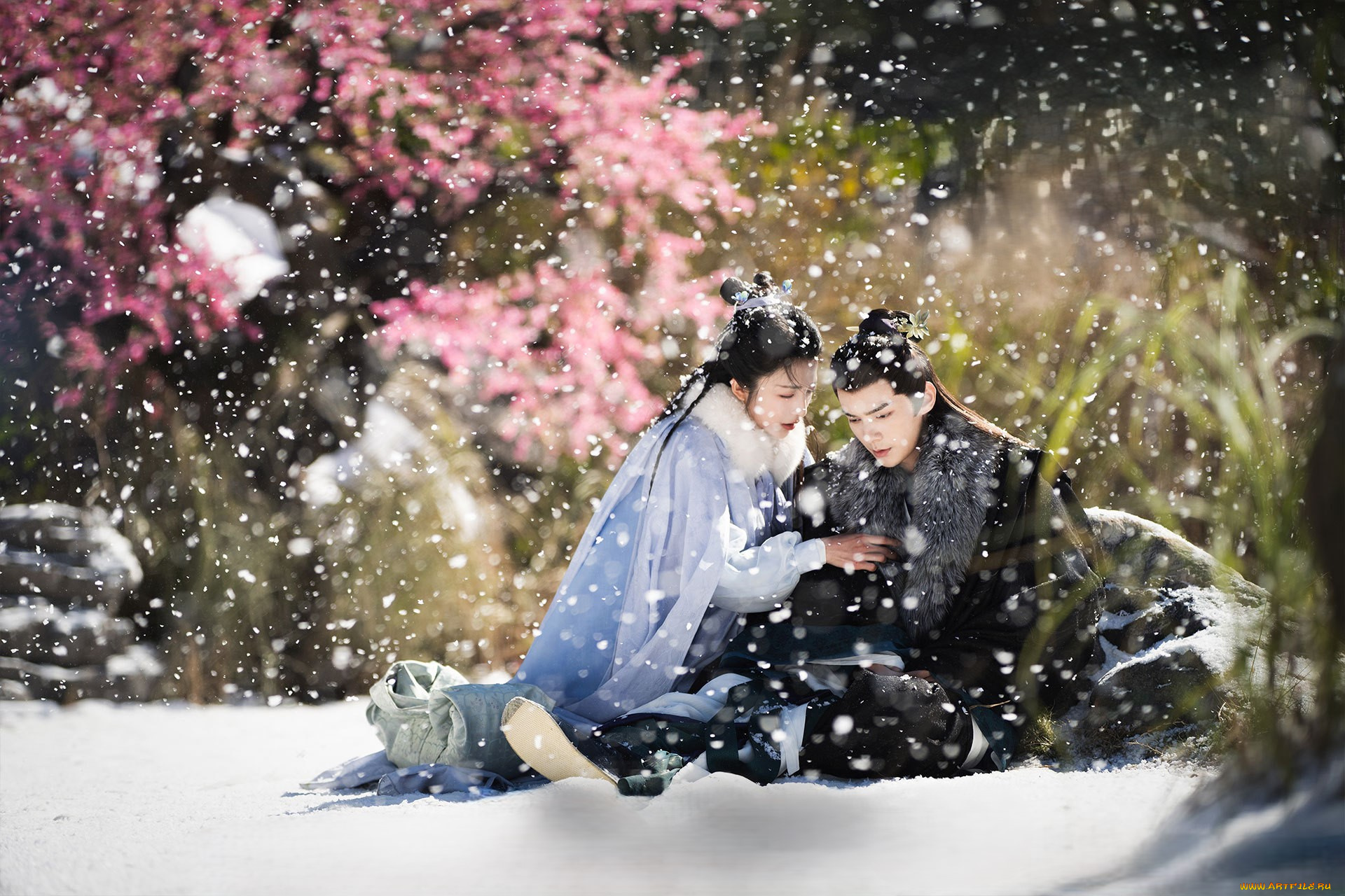 кино, фильмы, love, of, petals, love, of, petals