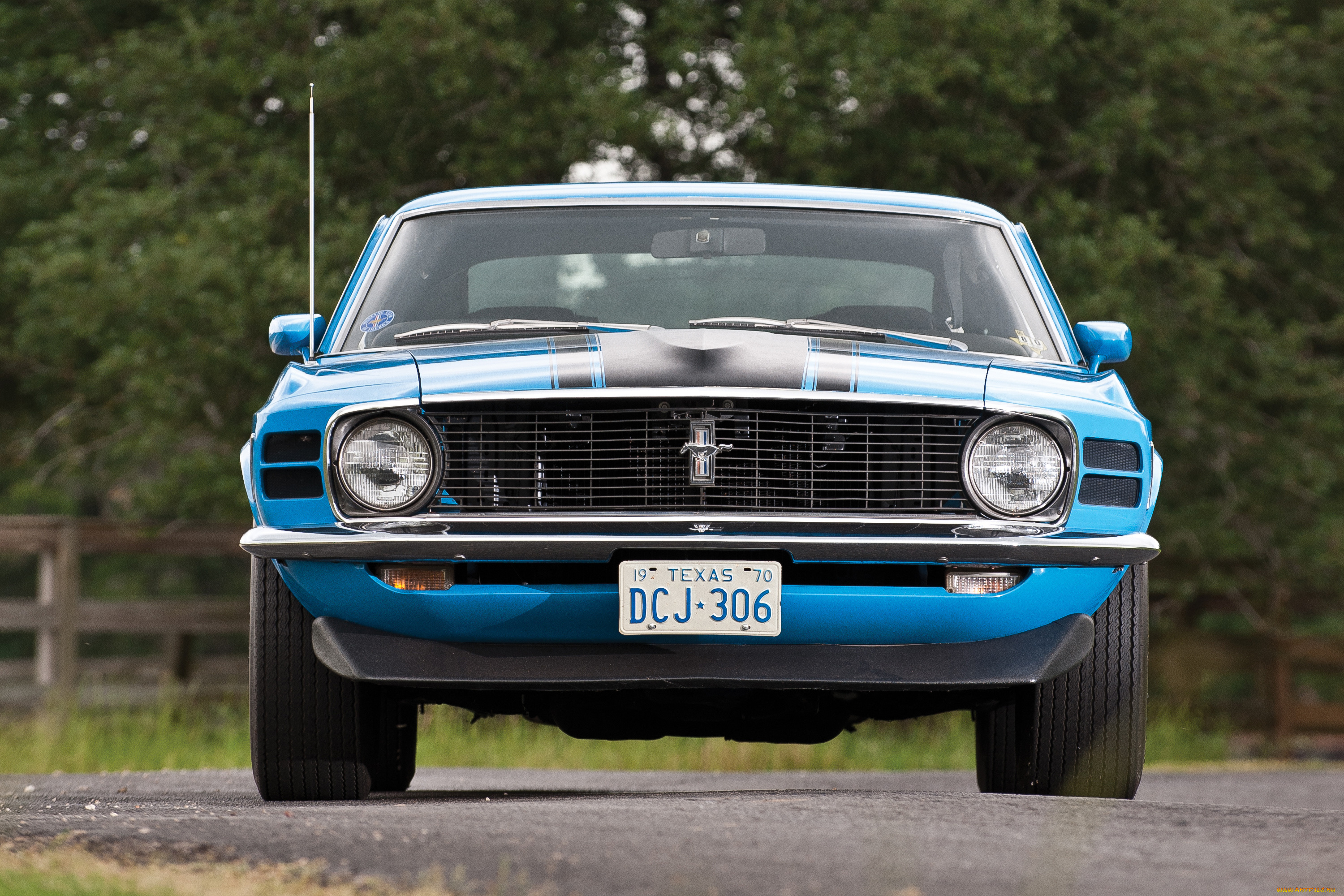 автомобили, mustang