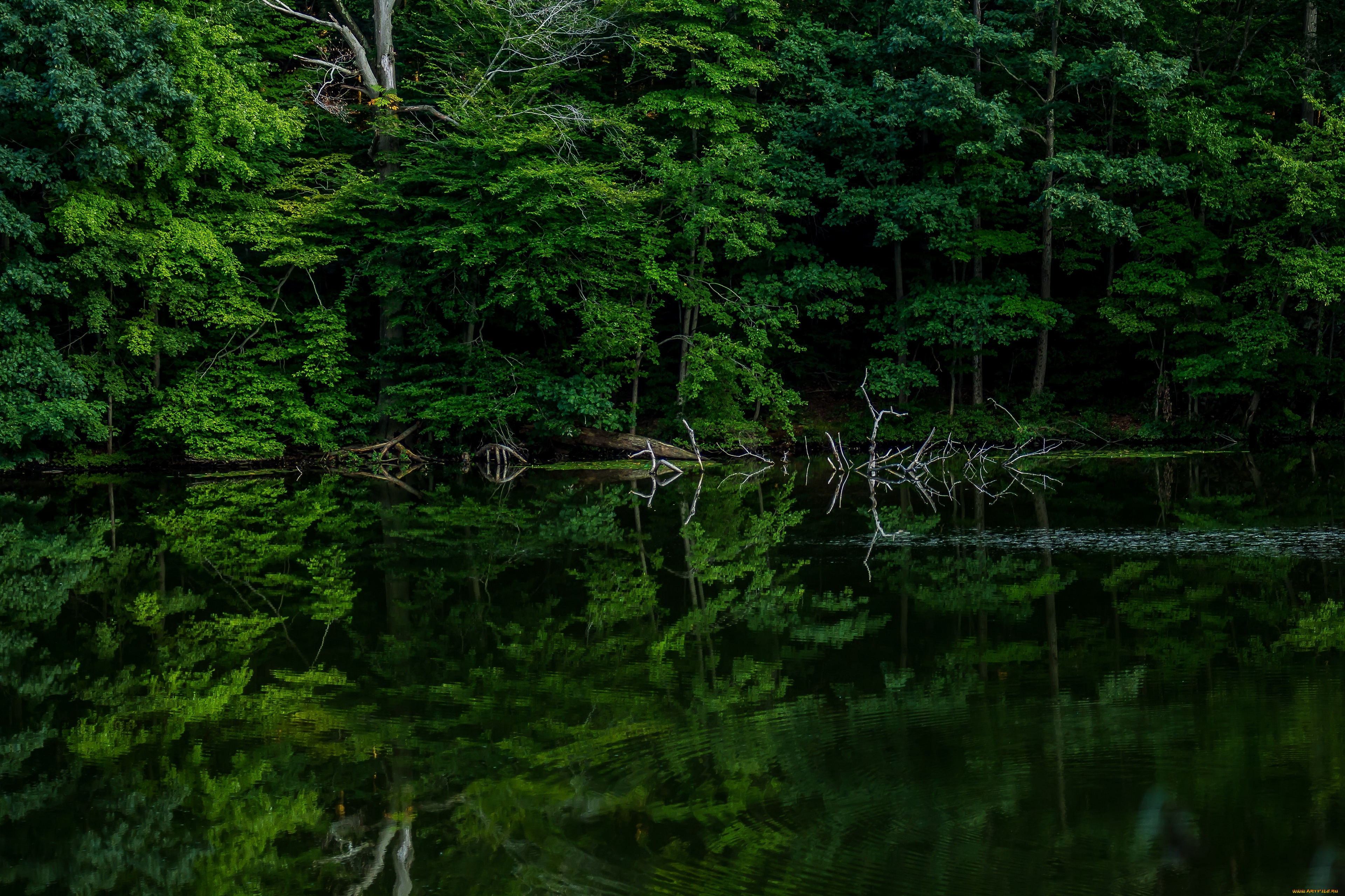 природа, реки, озера, озеро