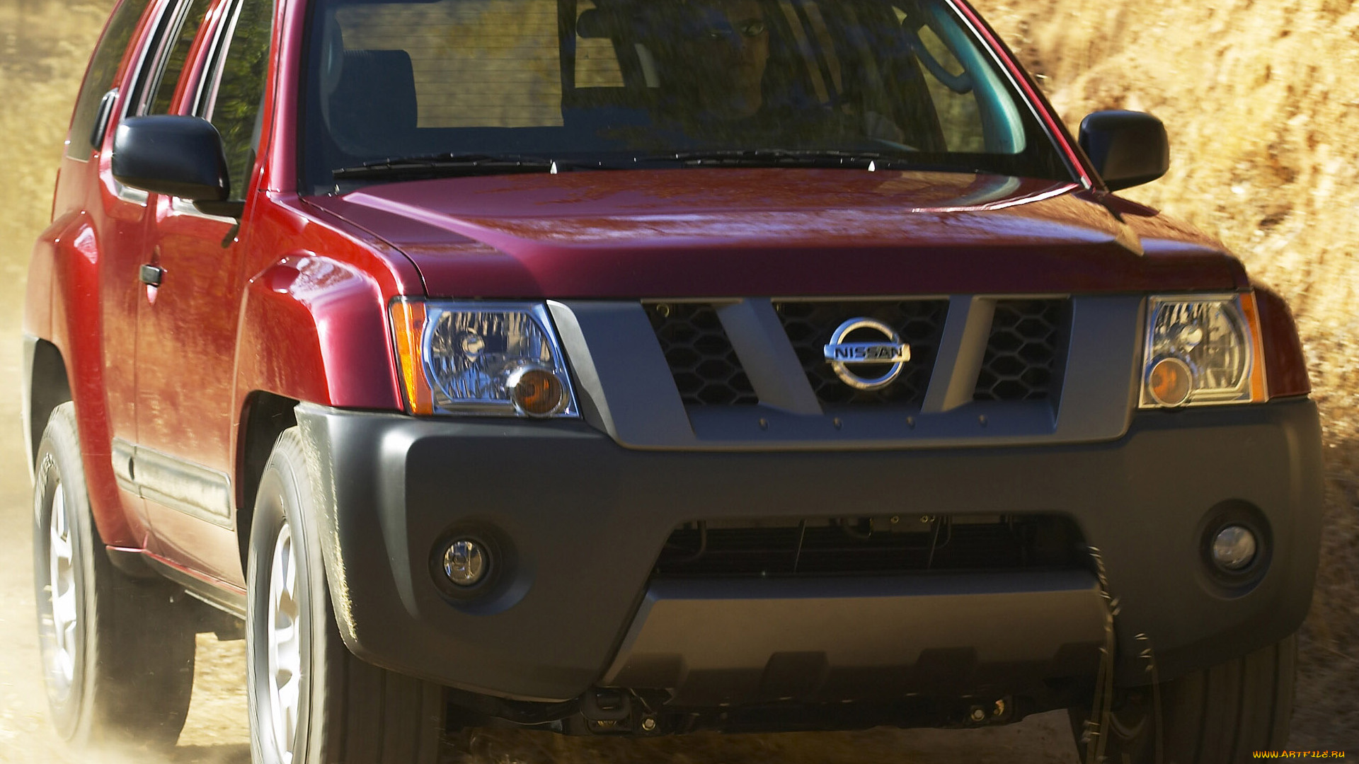 nissan, terra, 2005, автомобили, datsun