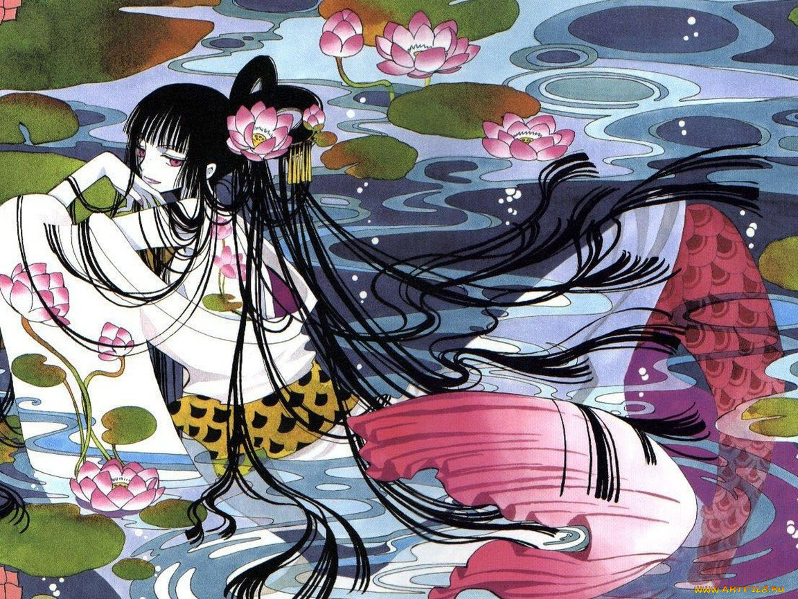 аниме, xxxholic