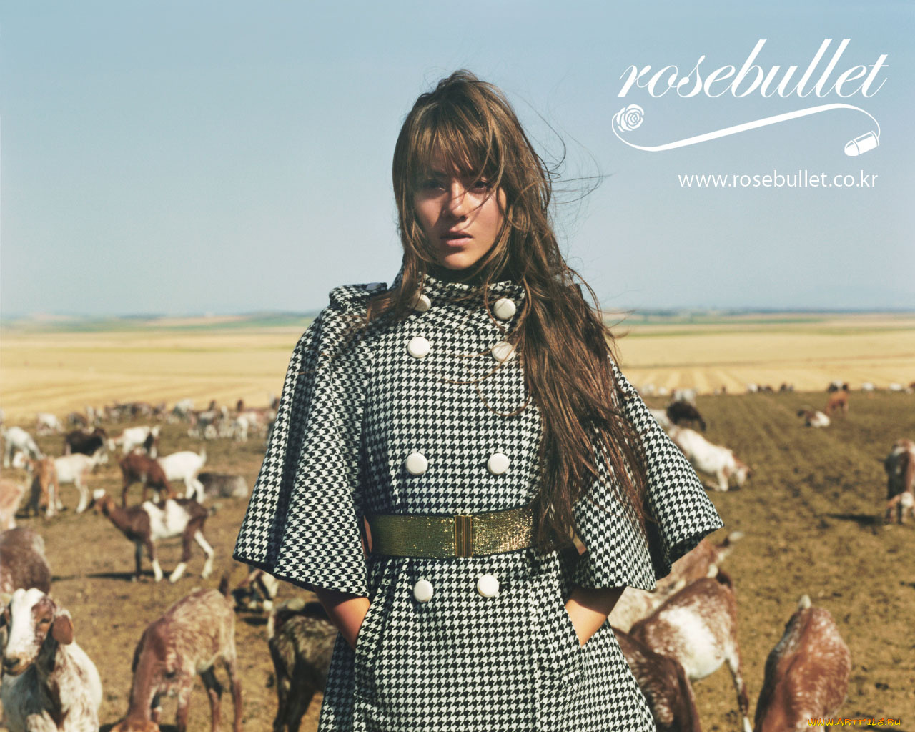 бренды, rosebulle