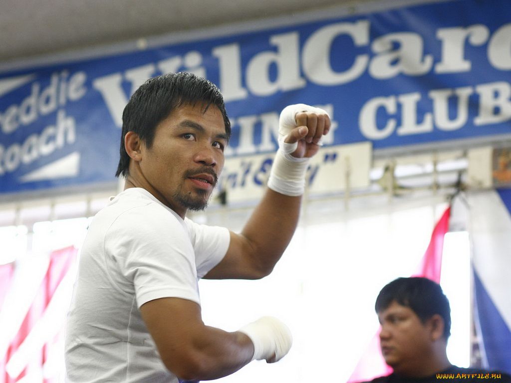 спорт, бокс