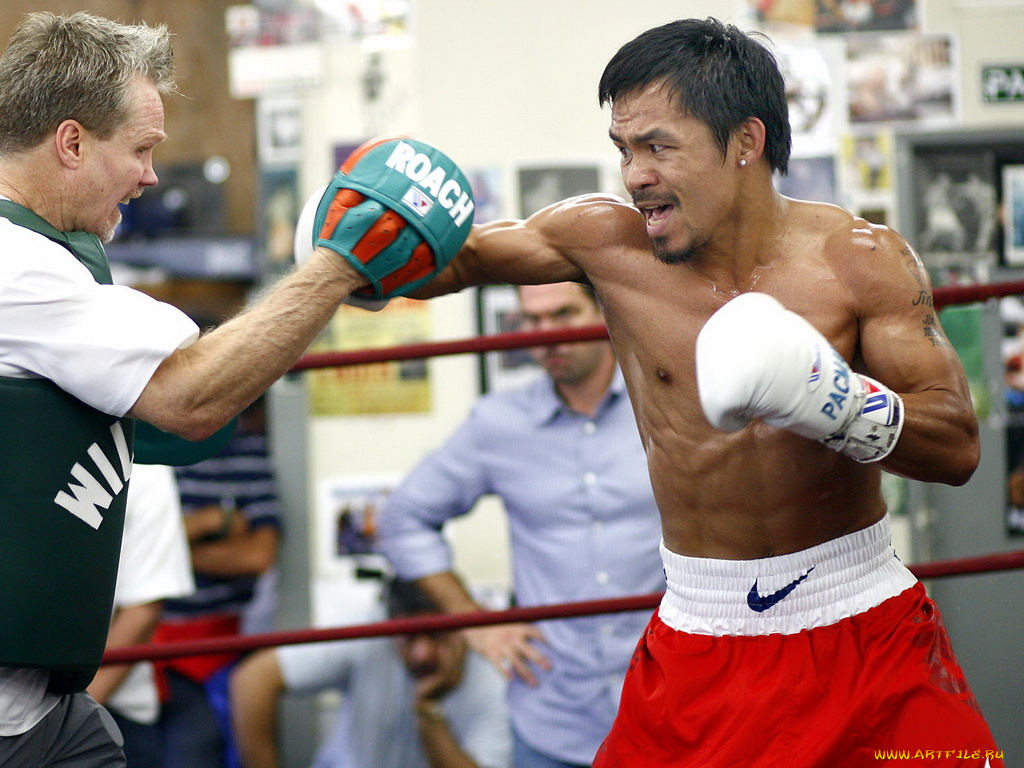 спорт, бокс