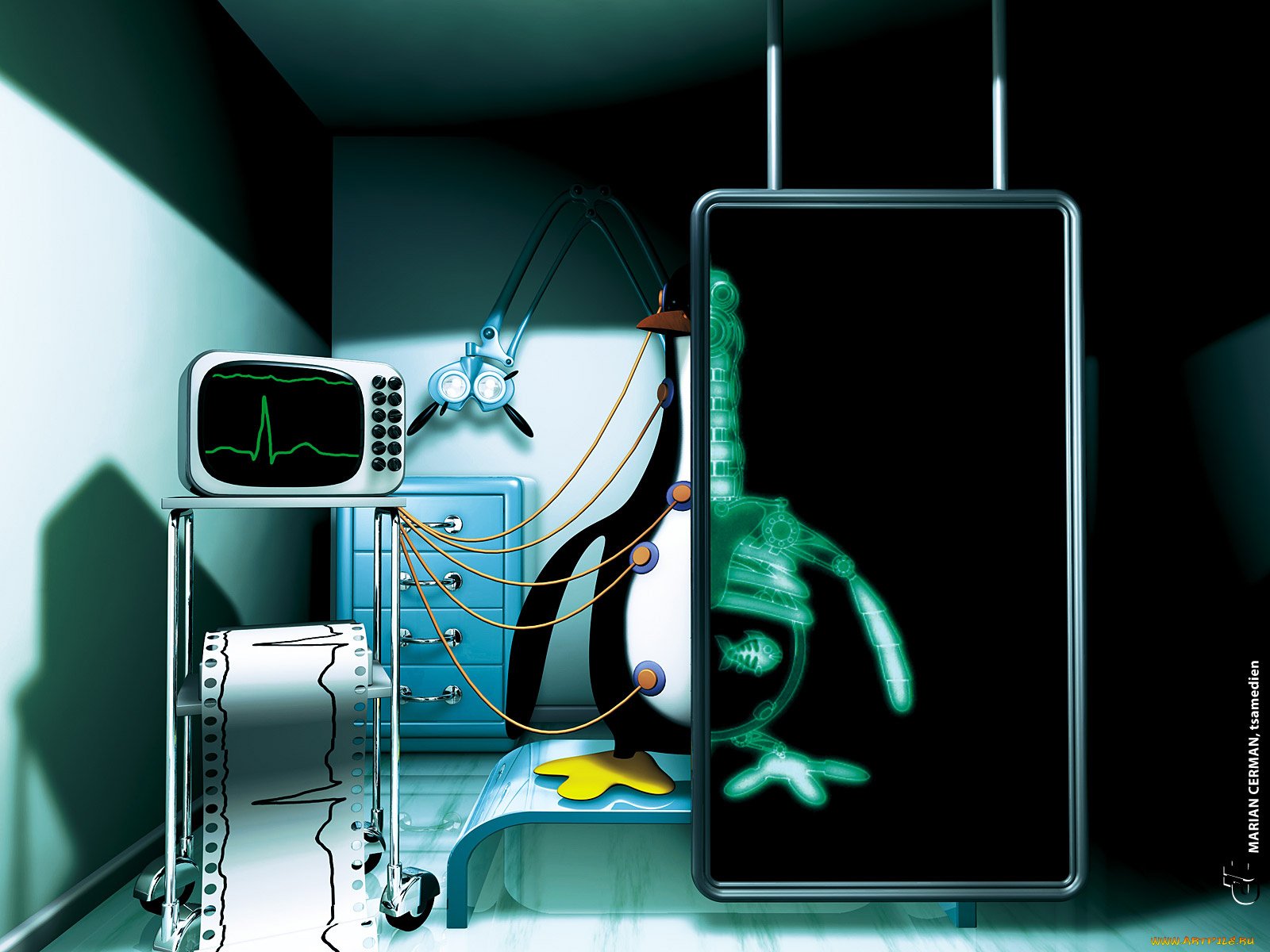 компьютеры, linux