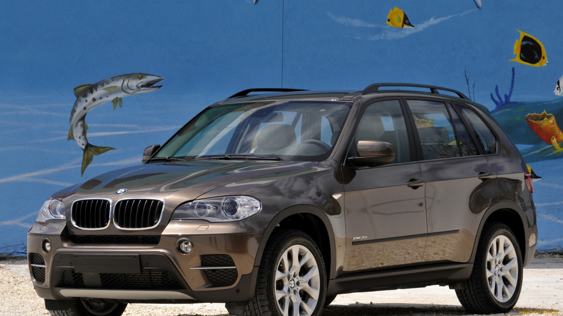 автомобили, bmw