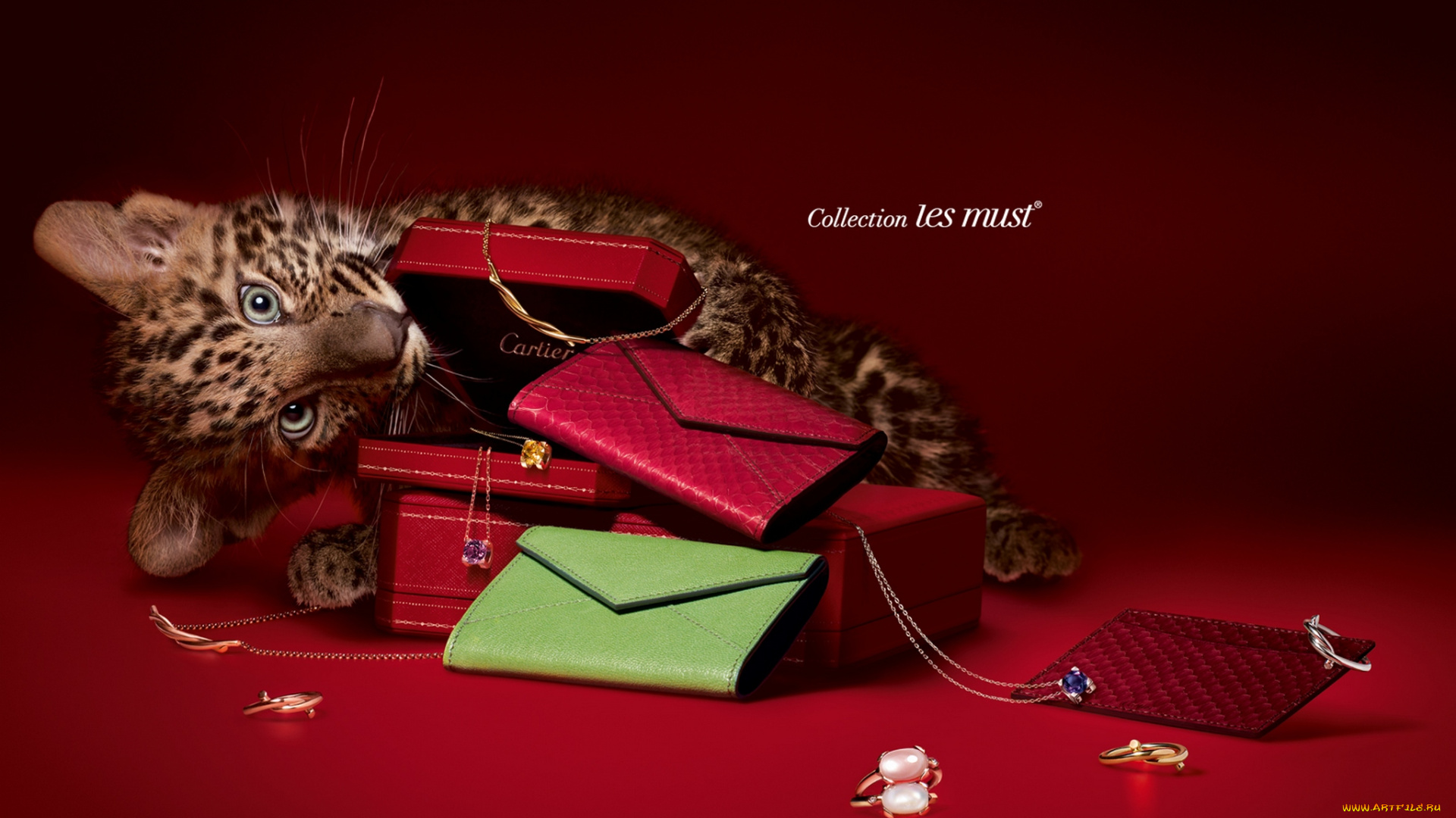 cartier, бренды