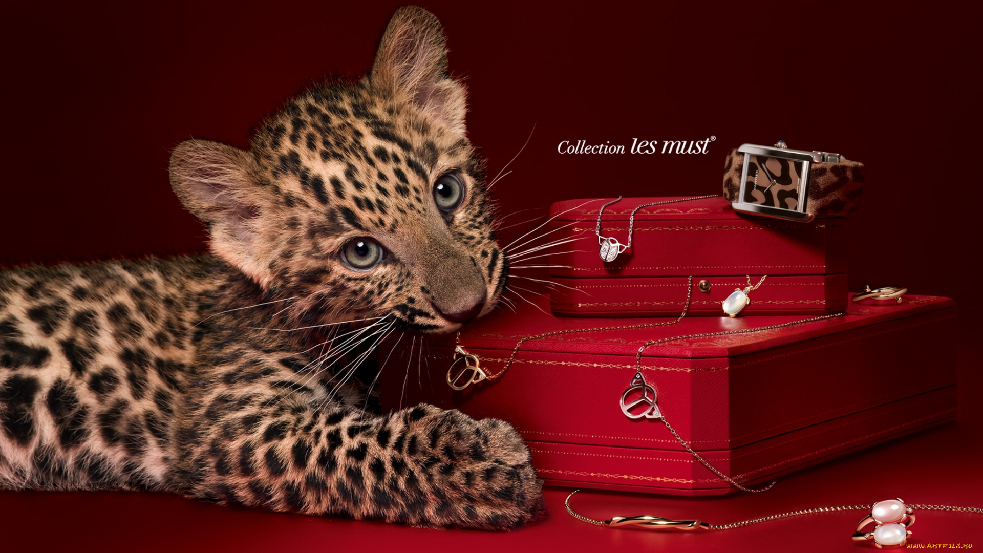 cartier, бренды