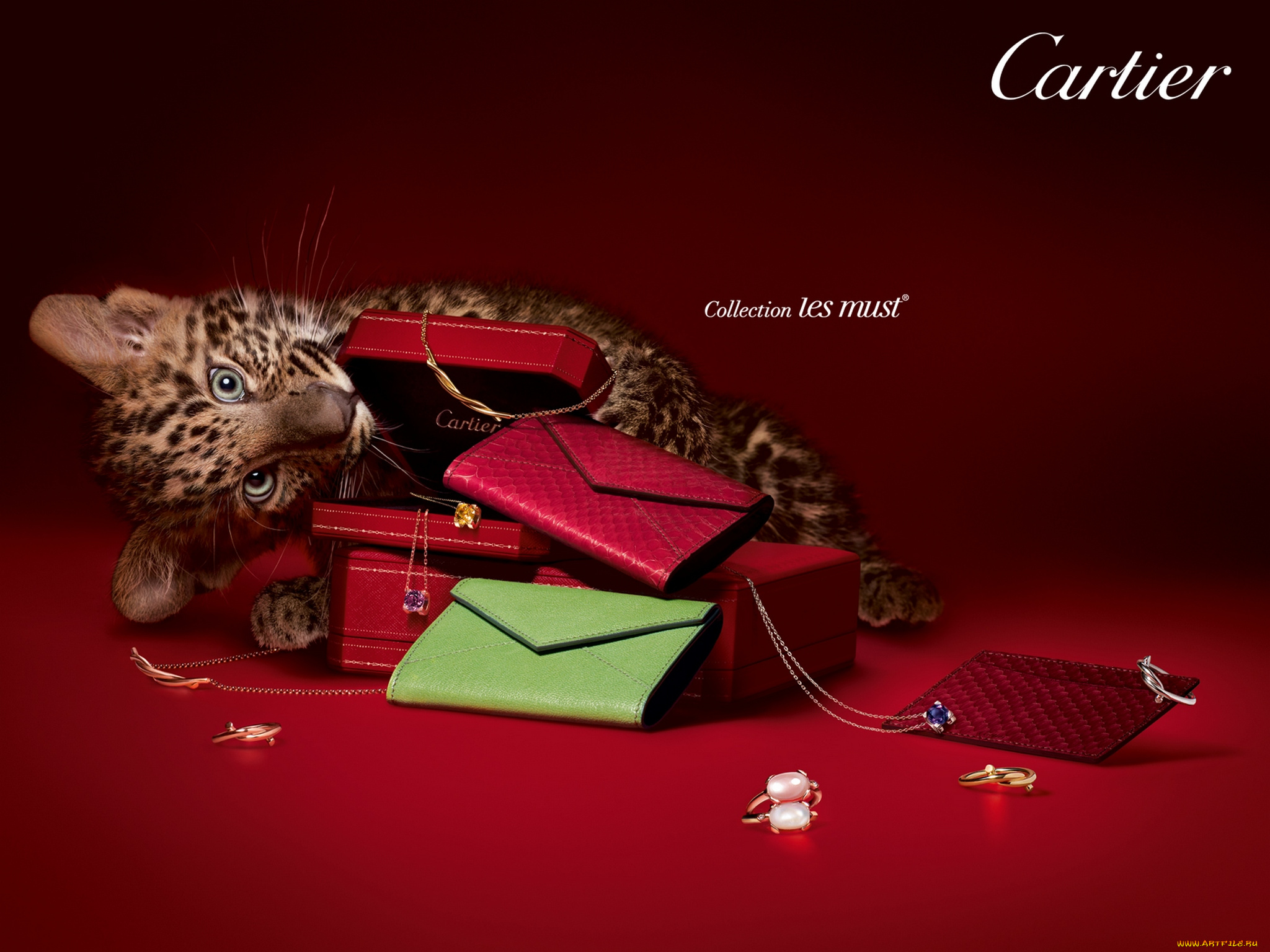 cartier, бренды