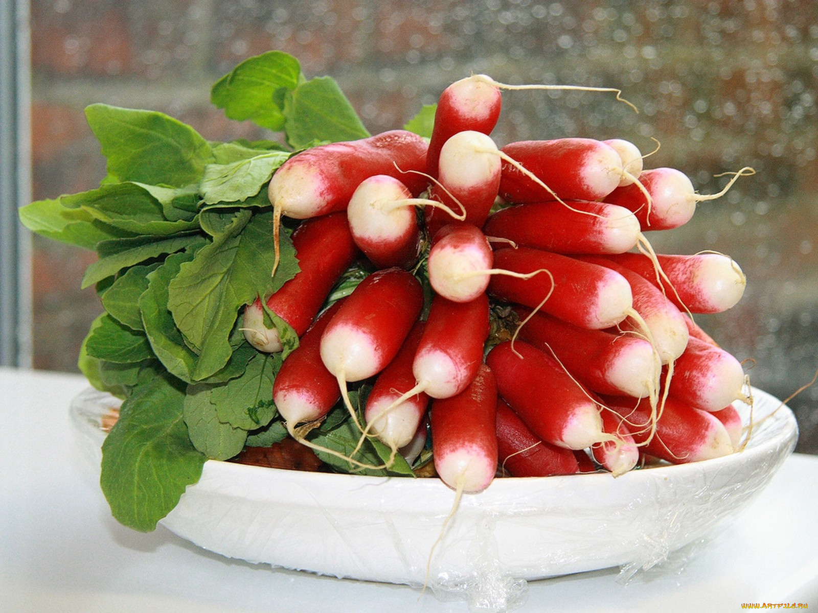 еда, редис, репа, редька