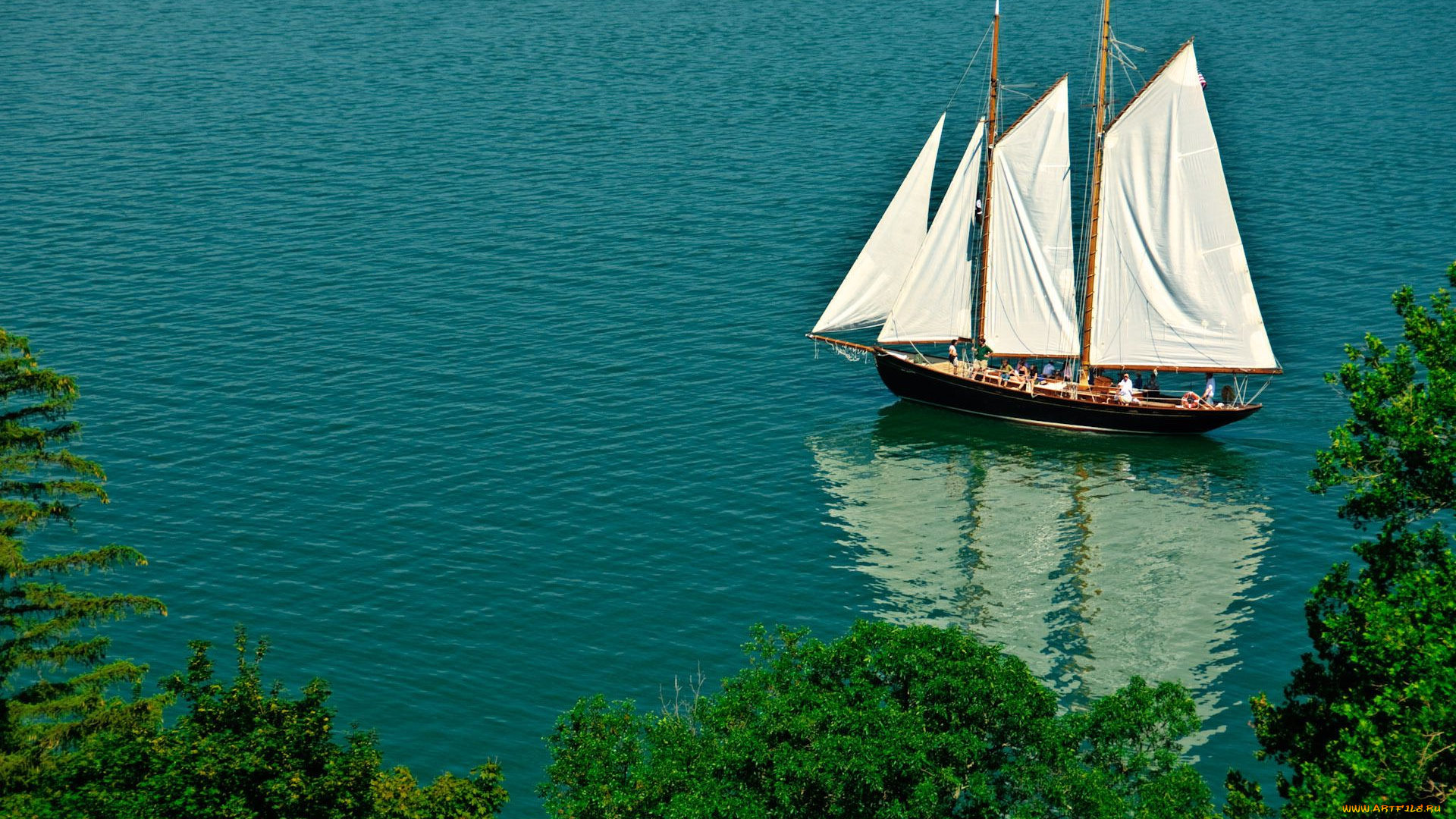 корабли, Яхты