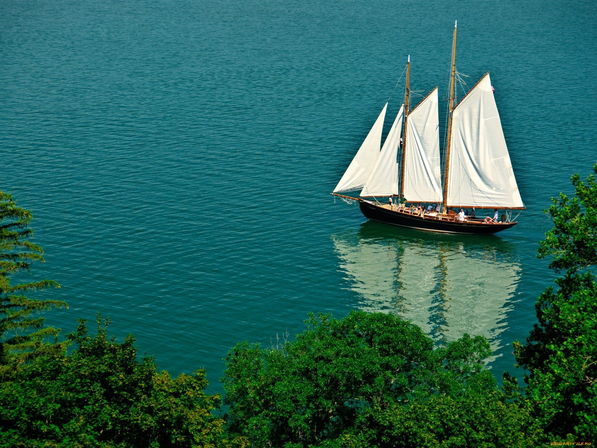 корабли, Яхты