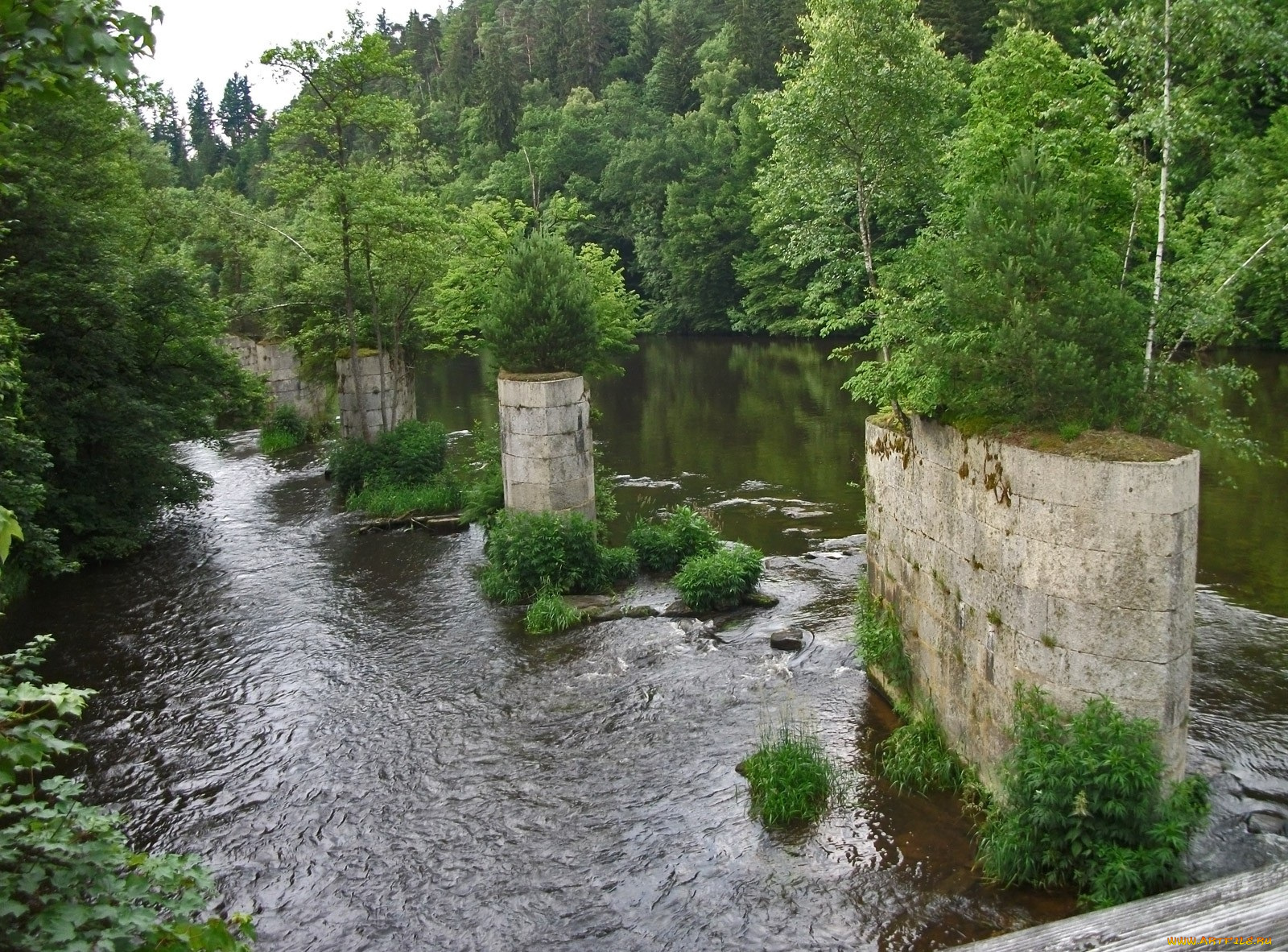 природа, реки, озера, деревья, река, опоры