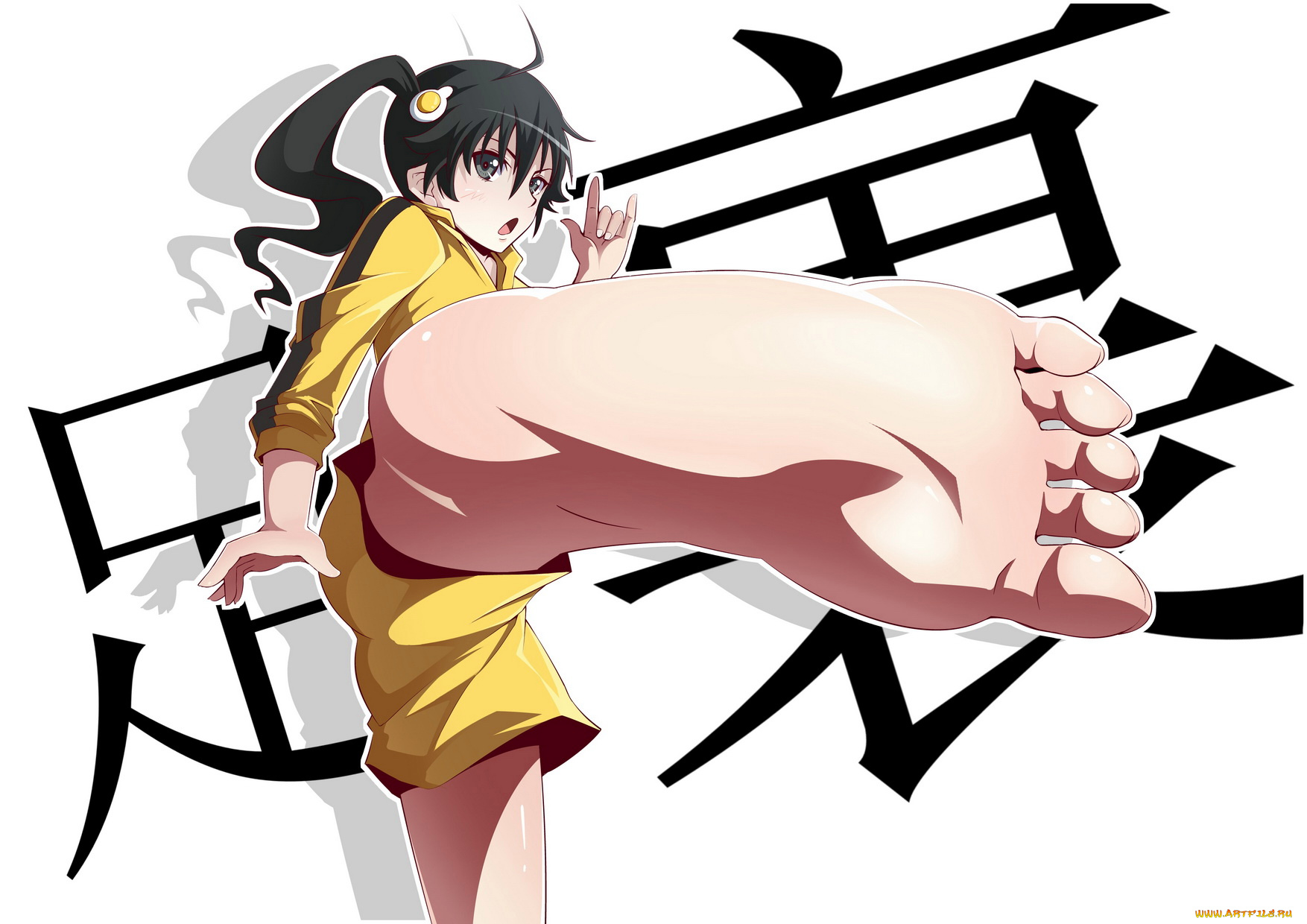 araragi, karen, аниме, bakemonogatari, nisemonogatari, форма, девушка, заколка