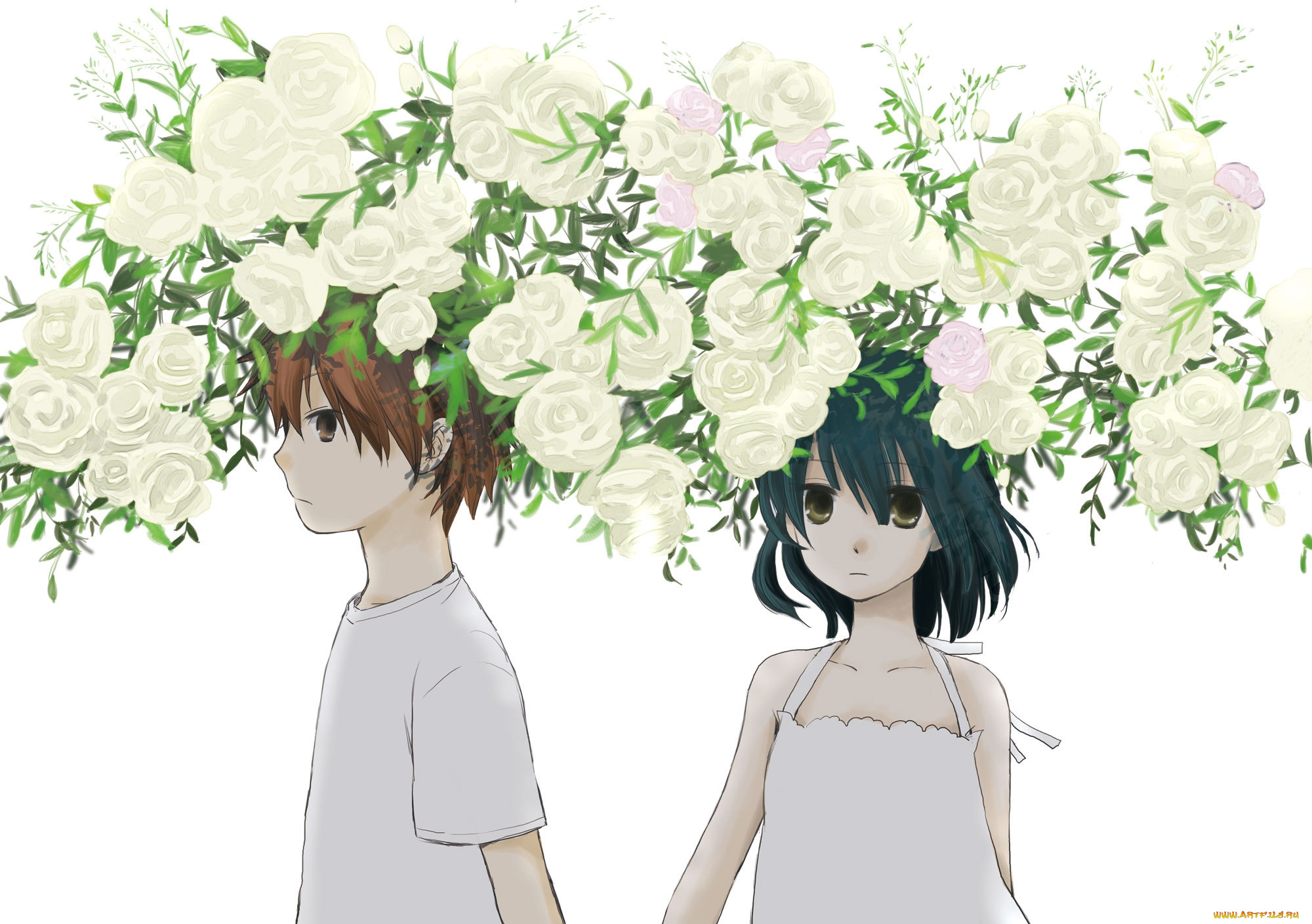 аниме, dyurarara, durarara, heiwajima, shizuo, awakusu, akane