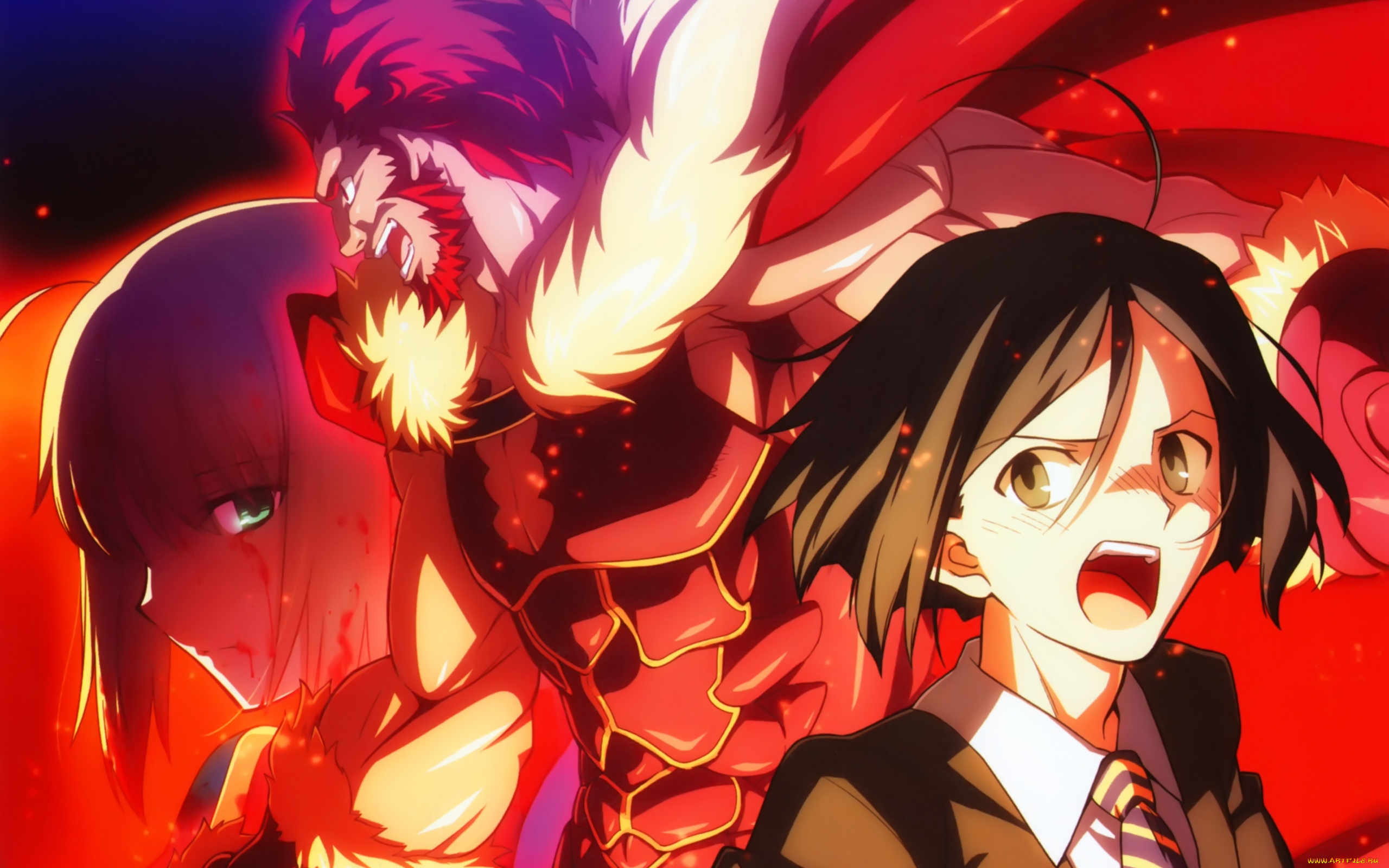 аниме, fate, zero,