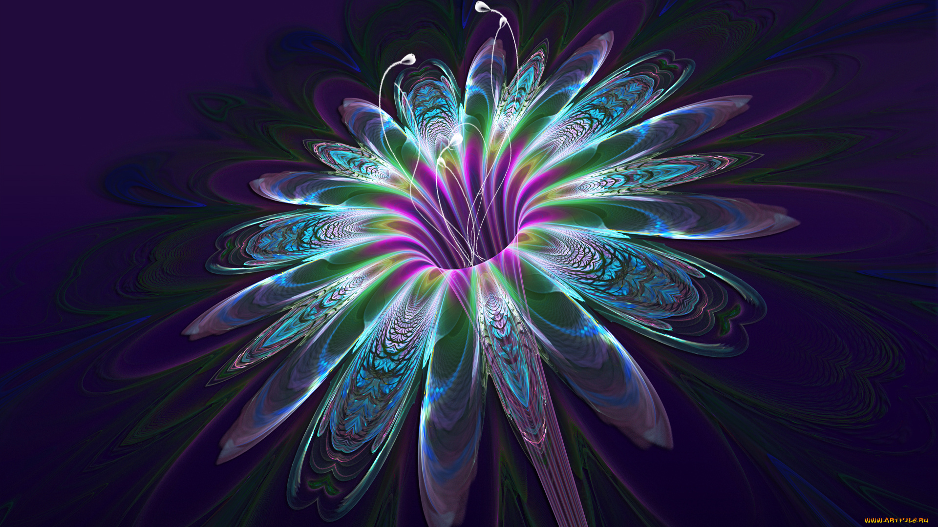 3д, графика, flowers, цветы, лепестки