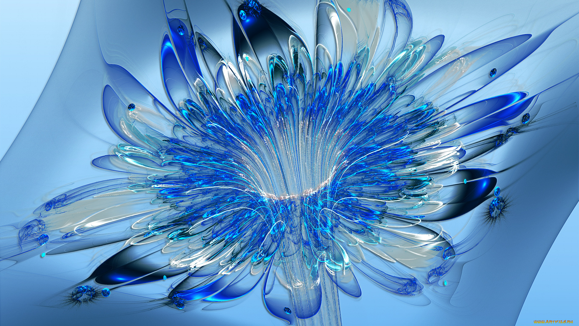 3д, графика, flowers, цветы, лепестки