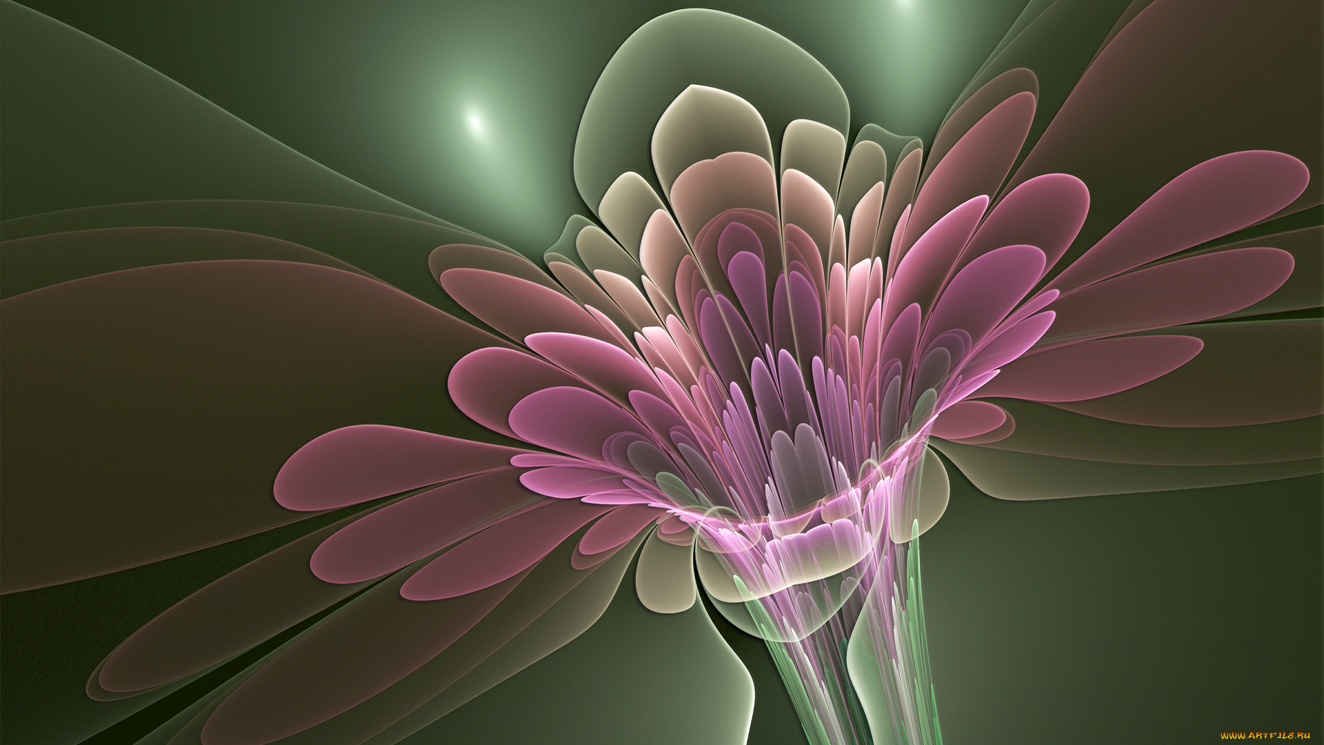 3д, графика, flowers, цветы, лепестки