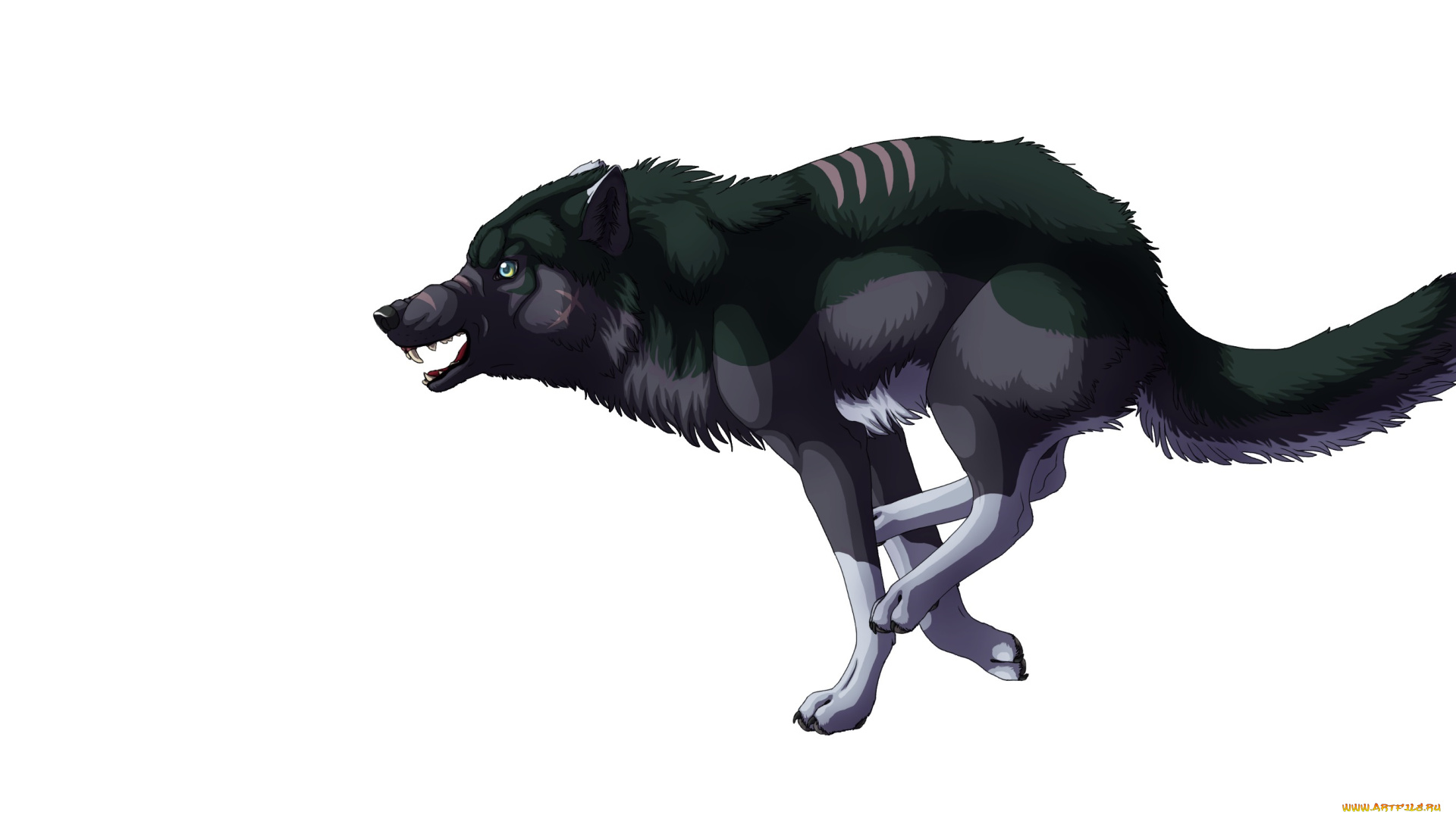 рисованные, животные, волки, волк