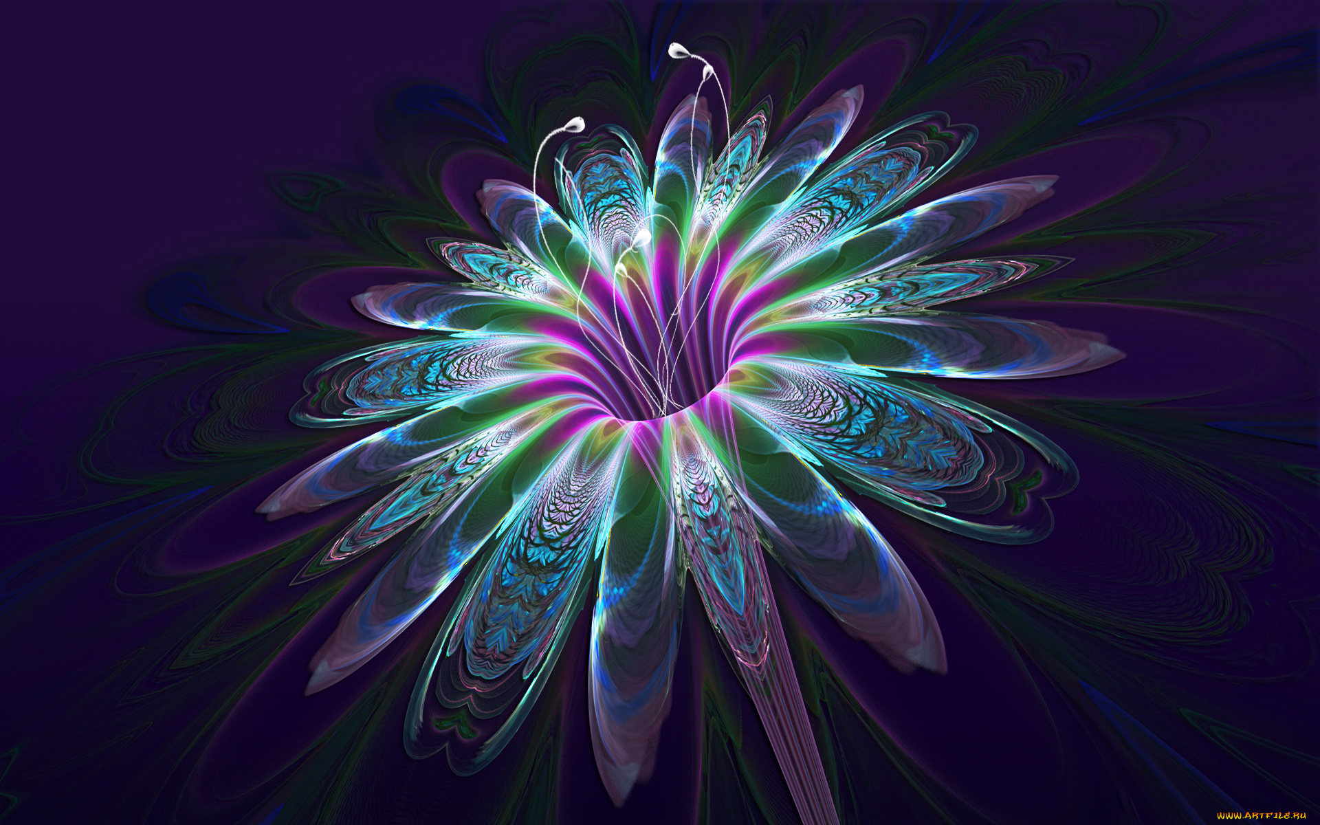 3д, графика, flowers, цветы, лепестки