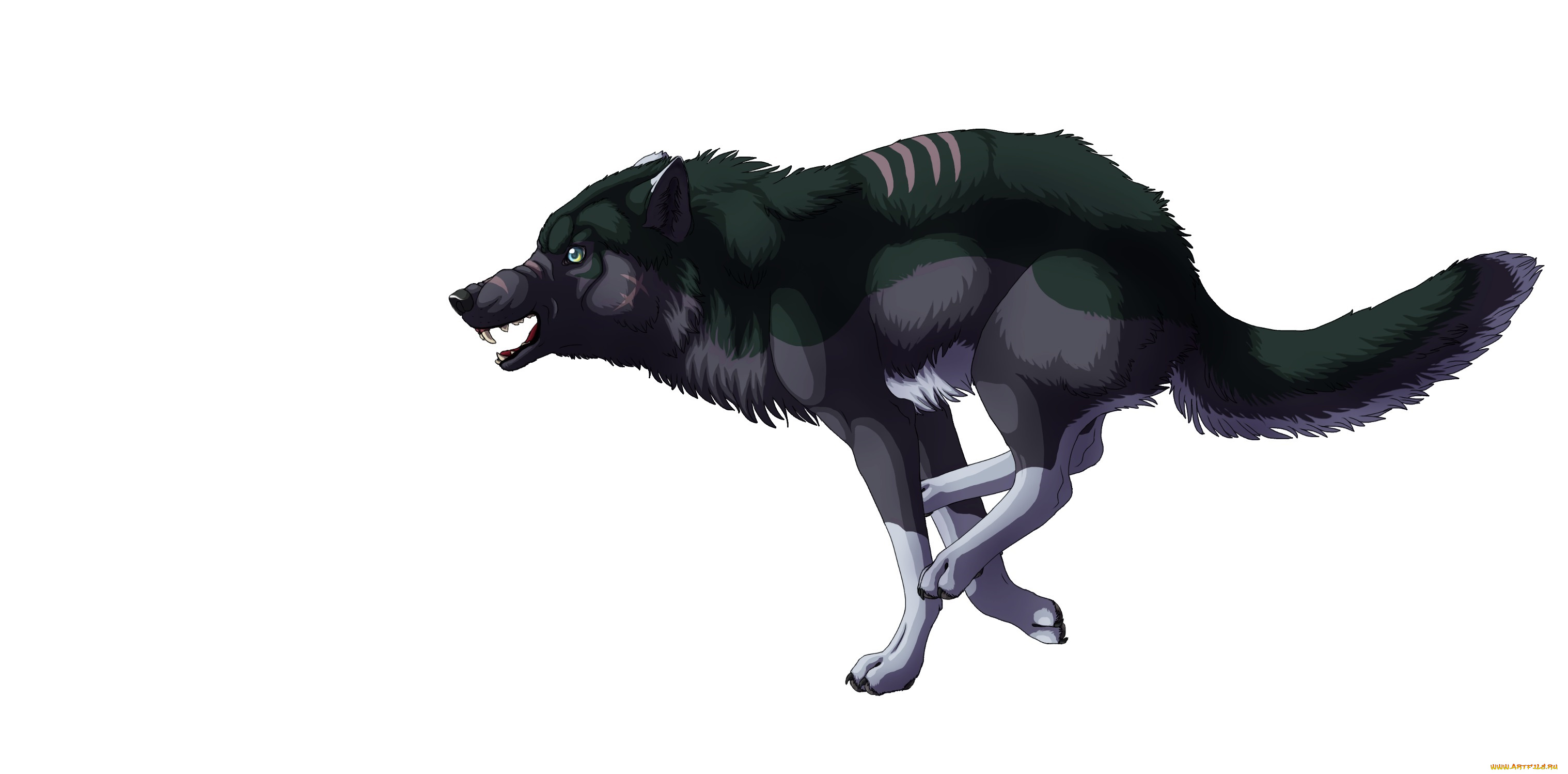 рисованные, животные, волки, волк