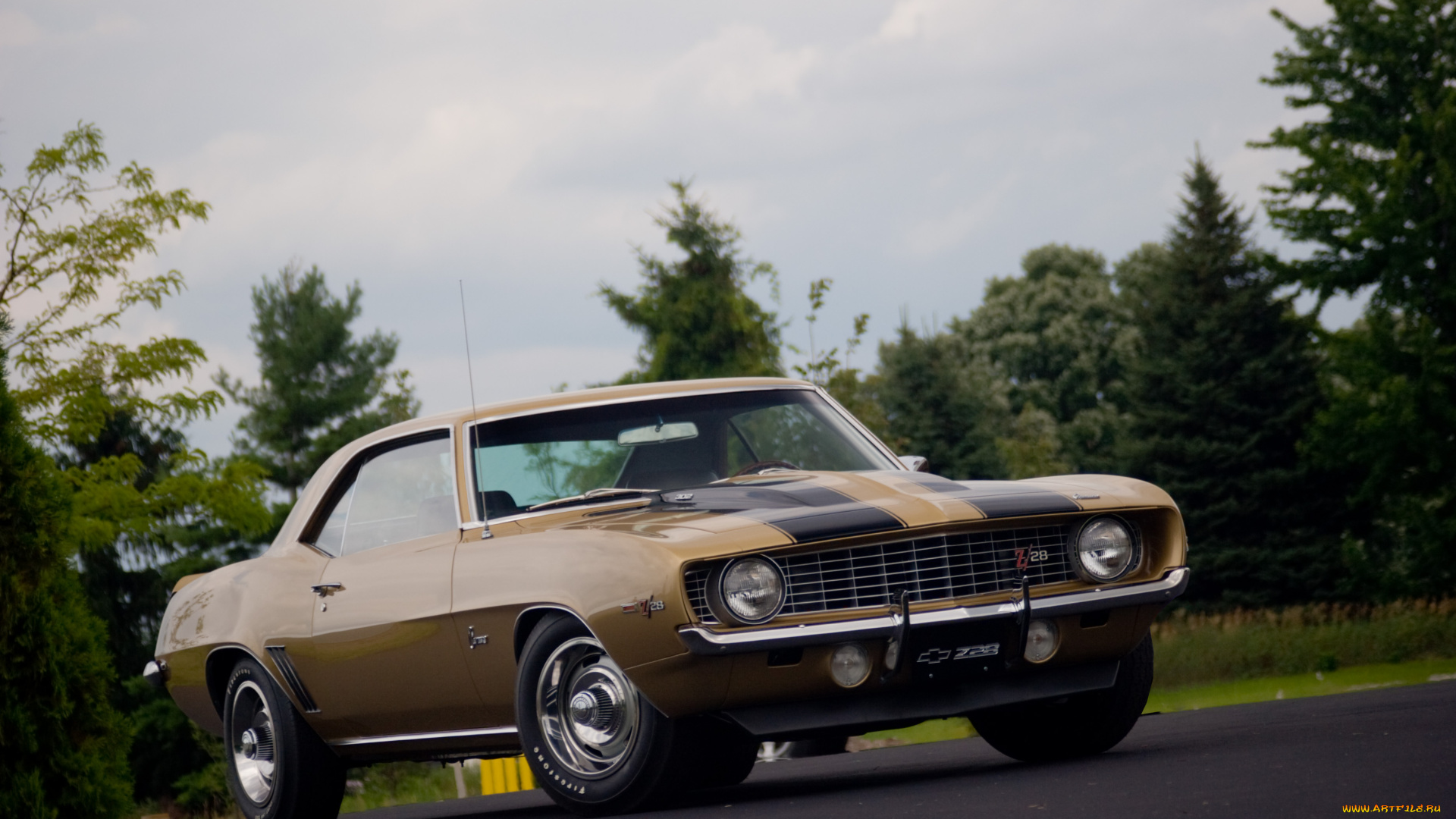 автомобили, camaro