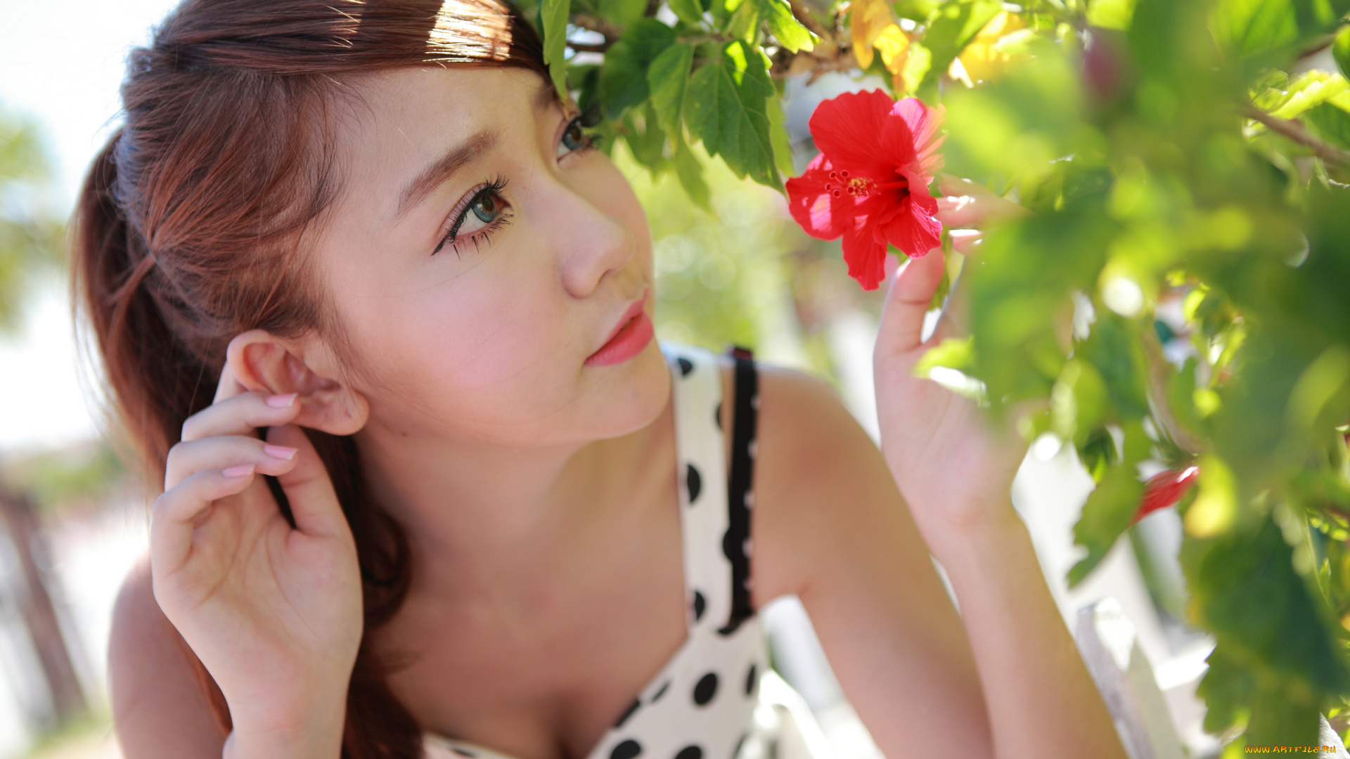 девушки, -unsort, , азиатки, цветок, взгляд, лицо