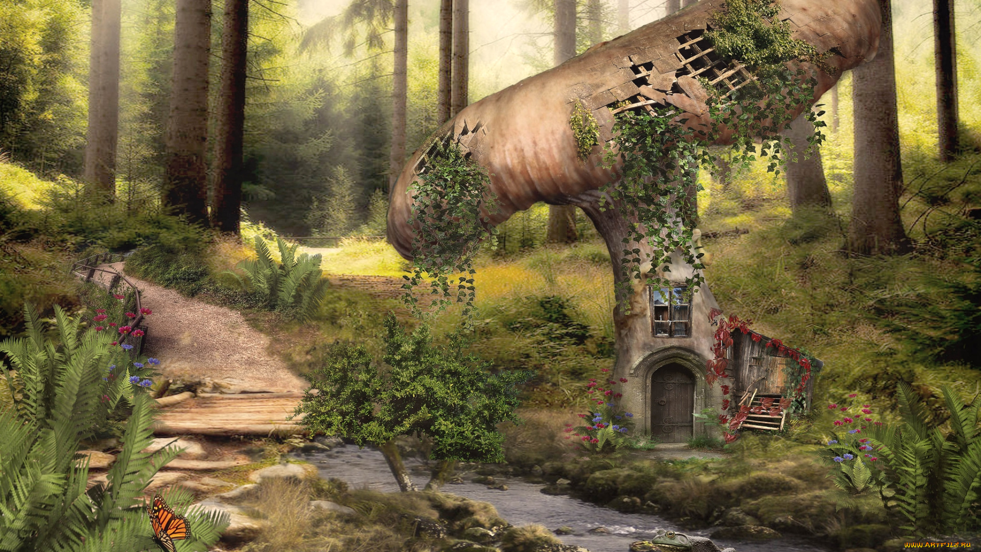 фэнтези, фотоарт, гриб, лес